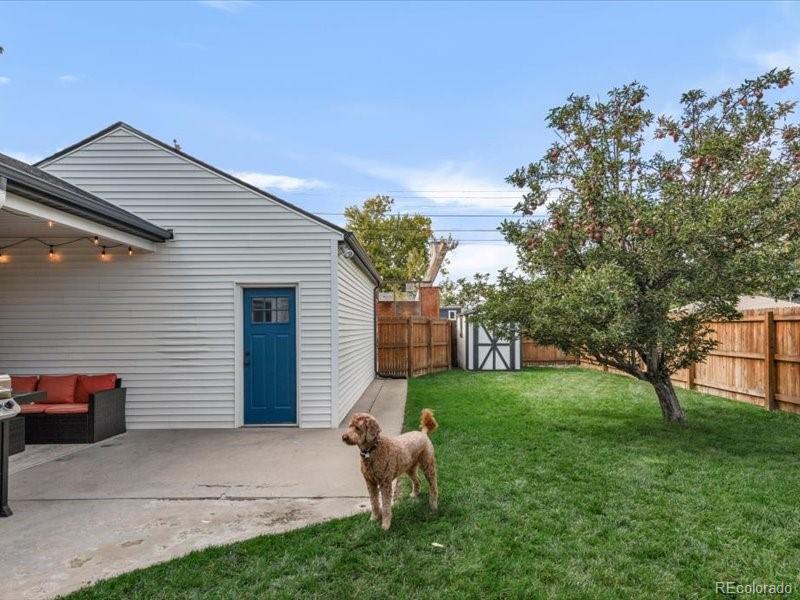 MLS Image #26 for 5091  elm court,denver, Colorado