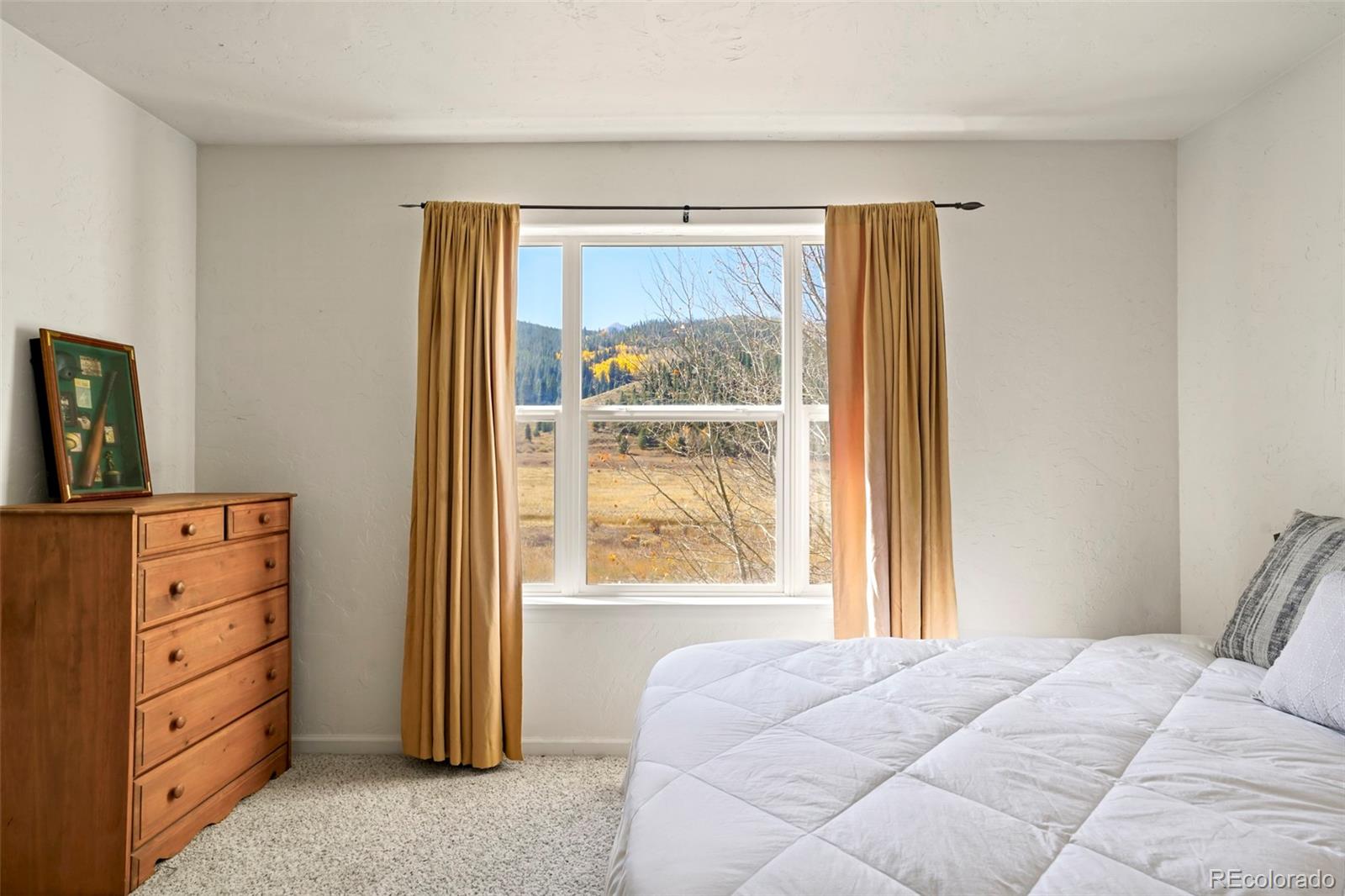 MLS Image #13 for 41  audrey circle,breckenridge, Colorado