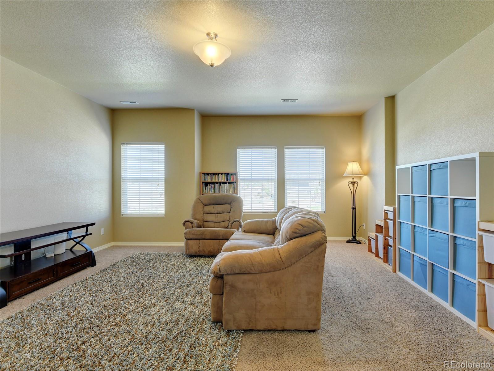 MLS Image #19 for 1235  woodmoor acres drive,monument, Colorado