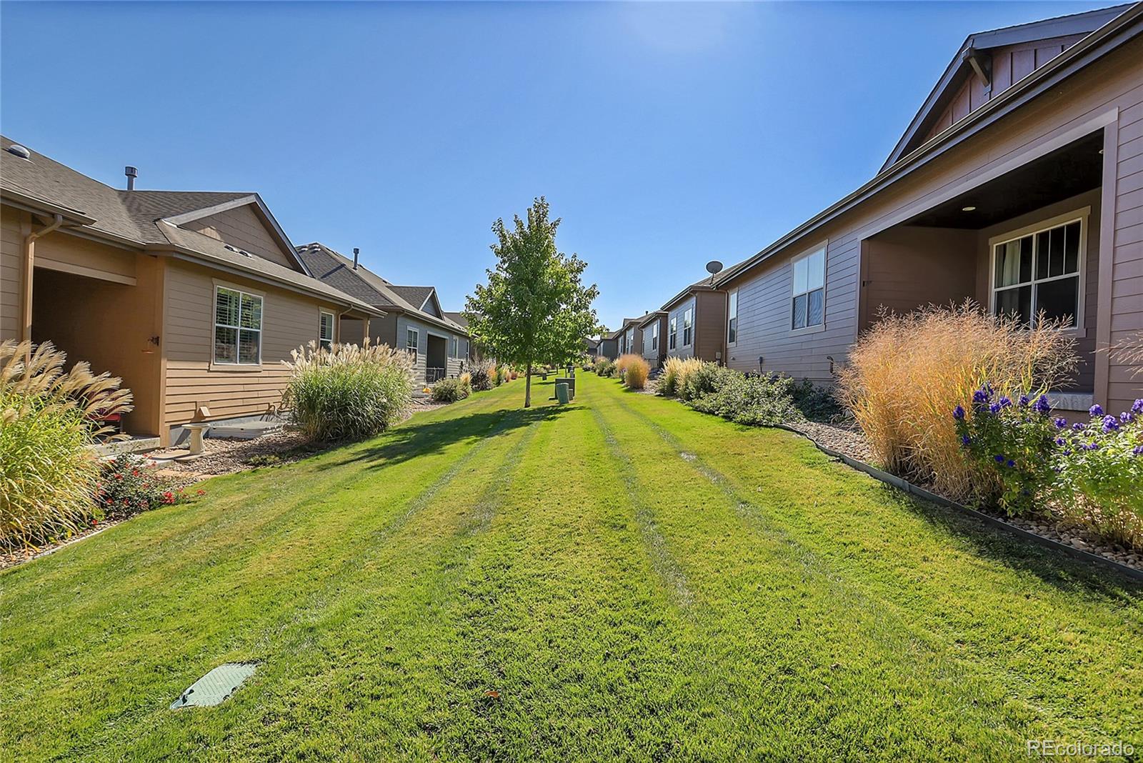 MLS Image #34 for 3598  new haven circle,castle rock, Colorado