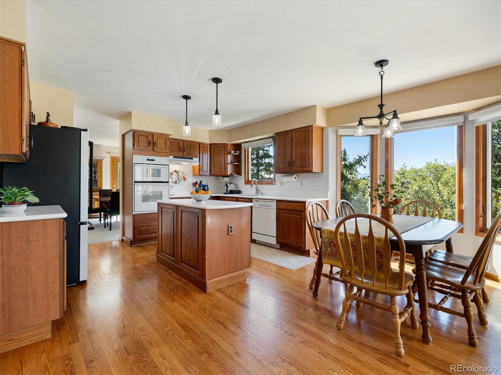 MLS Image #17 for 5450  kates drive,colorado springs, Colorado