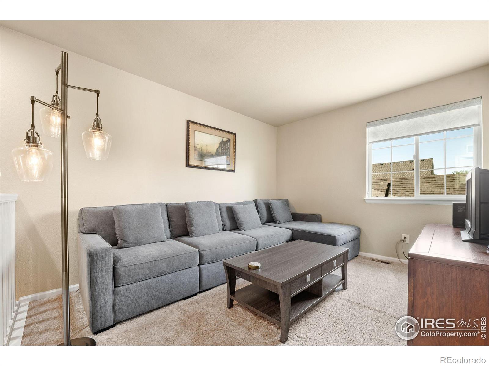 MLS Image #29 for 14674 e crestridge drive,centennial, Colorado