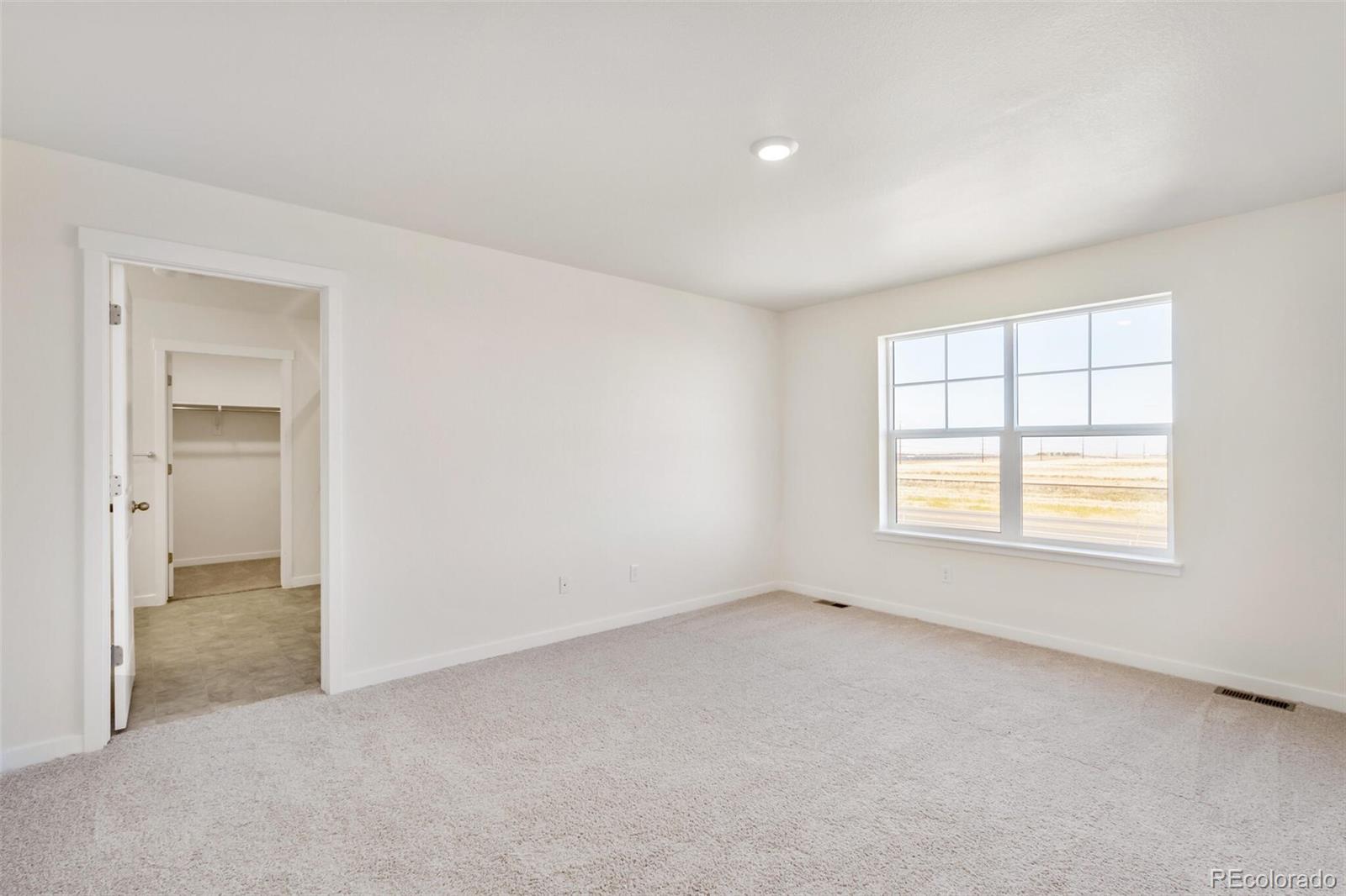 MLS Image #17 for 11742  logans ridge drive,colorado springs, Colorado