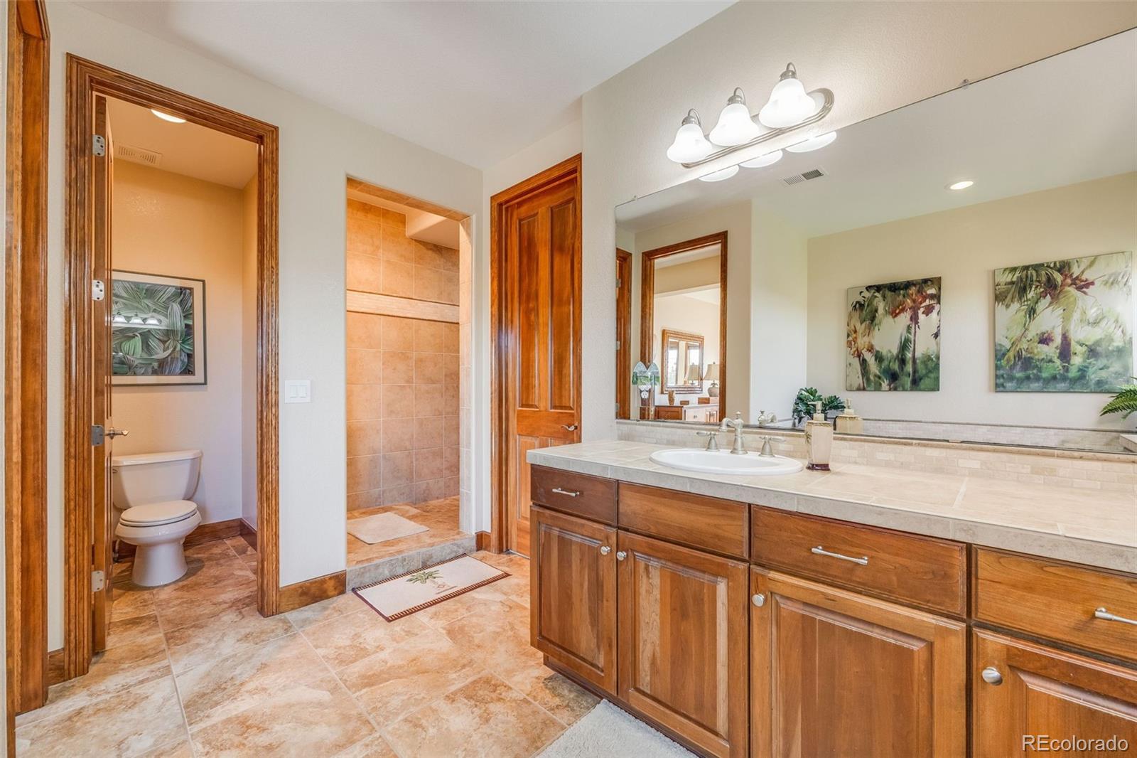 MLS Image #15 for 10730  pinewalk way,highlands ranch, Colorado