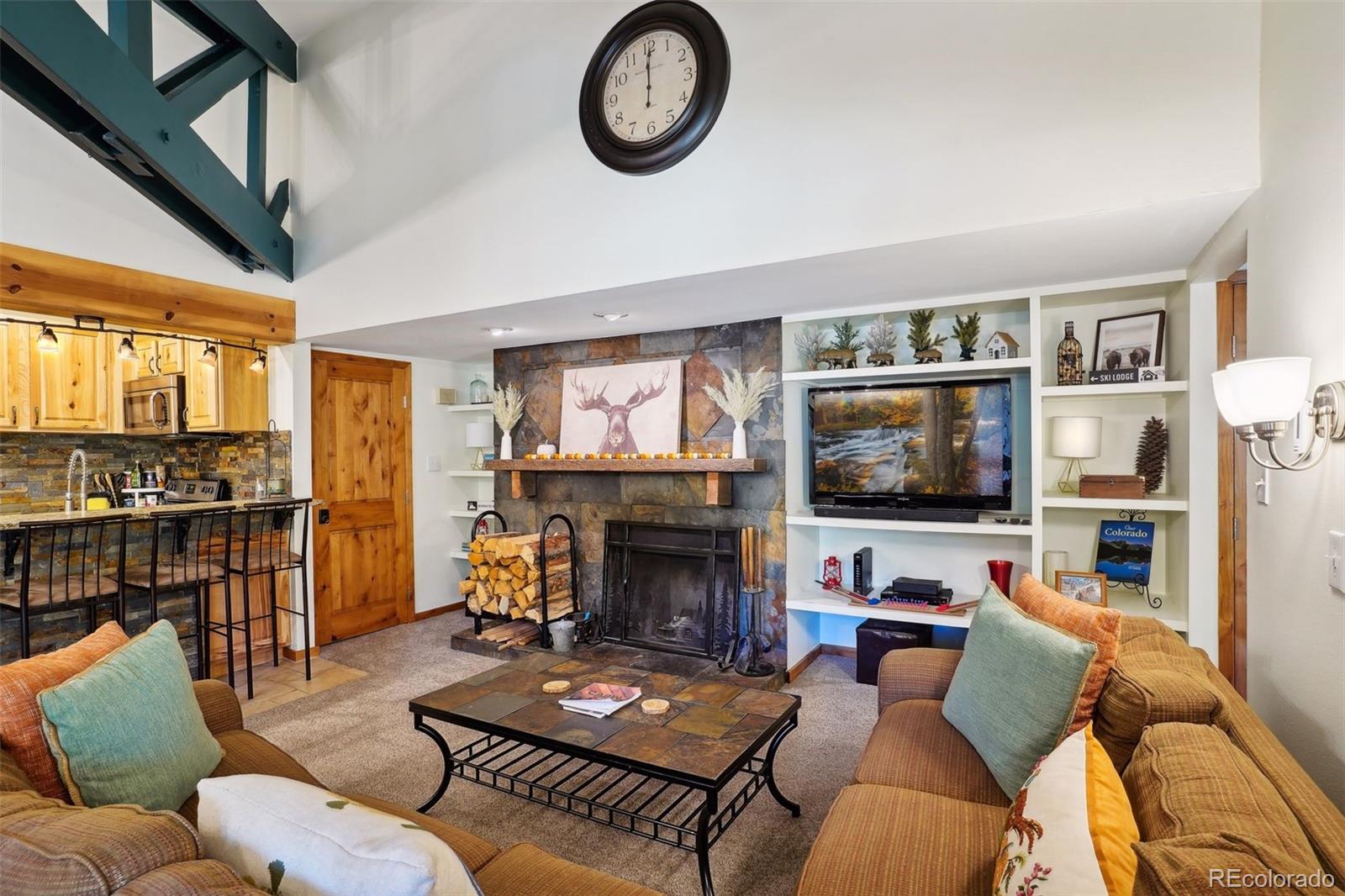 MLS Image #10 for 433  wild irishman road,dillon, Colorado