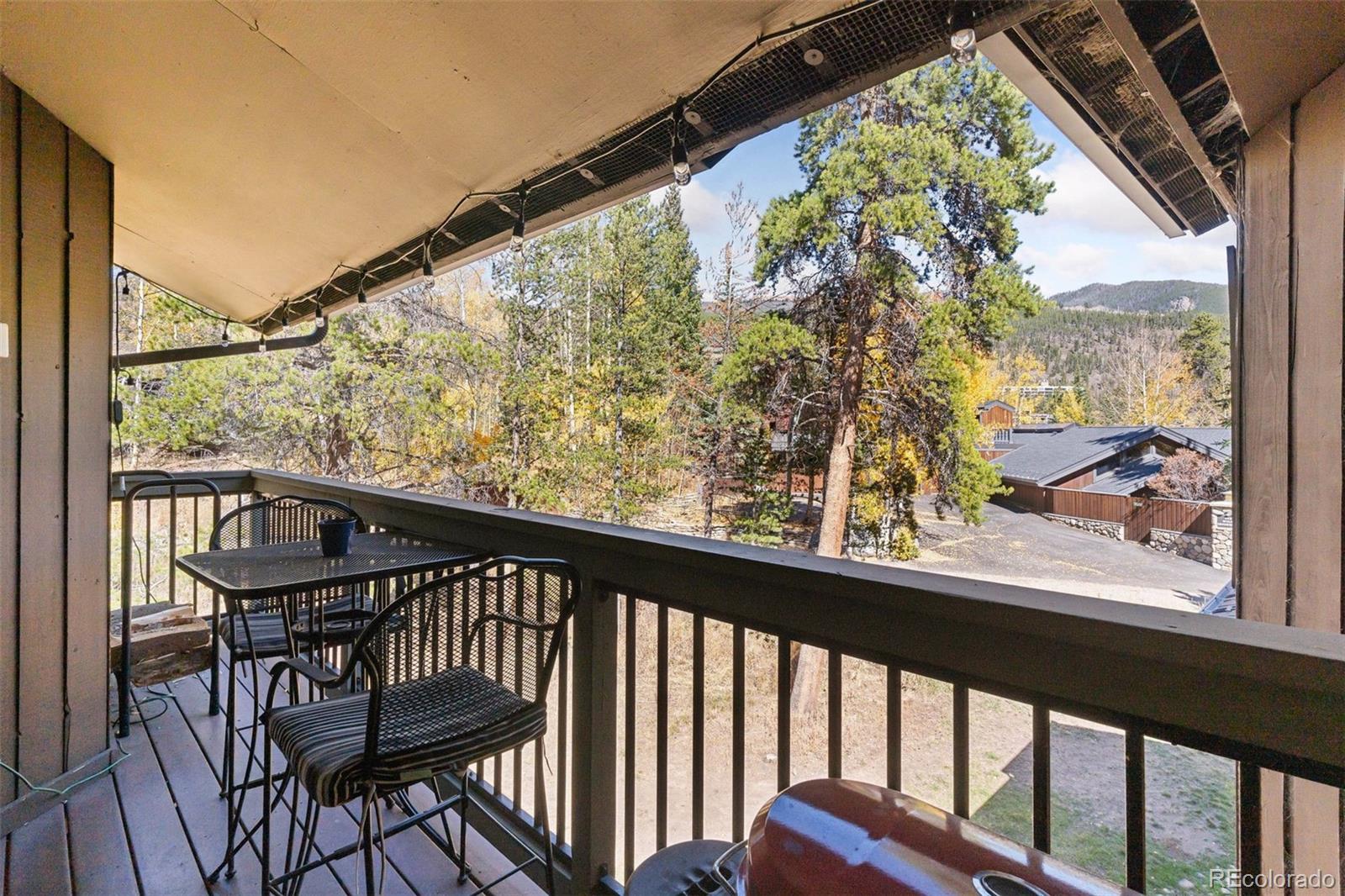 MLS Image #22 for 433  wild irishman road,dillon, Colorado