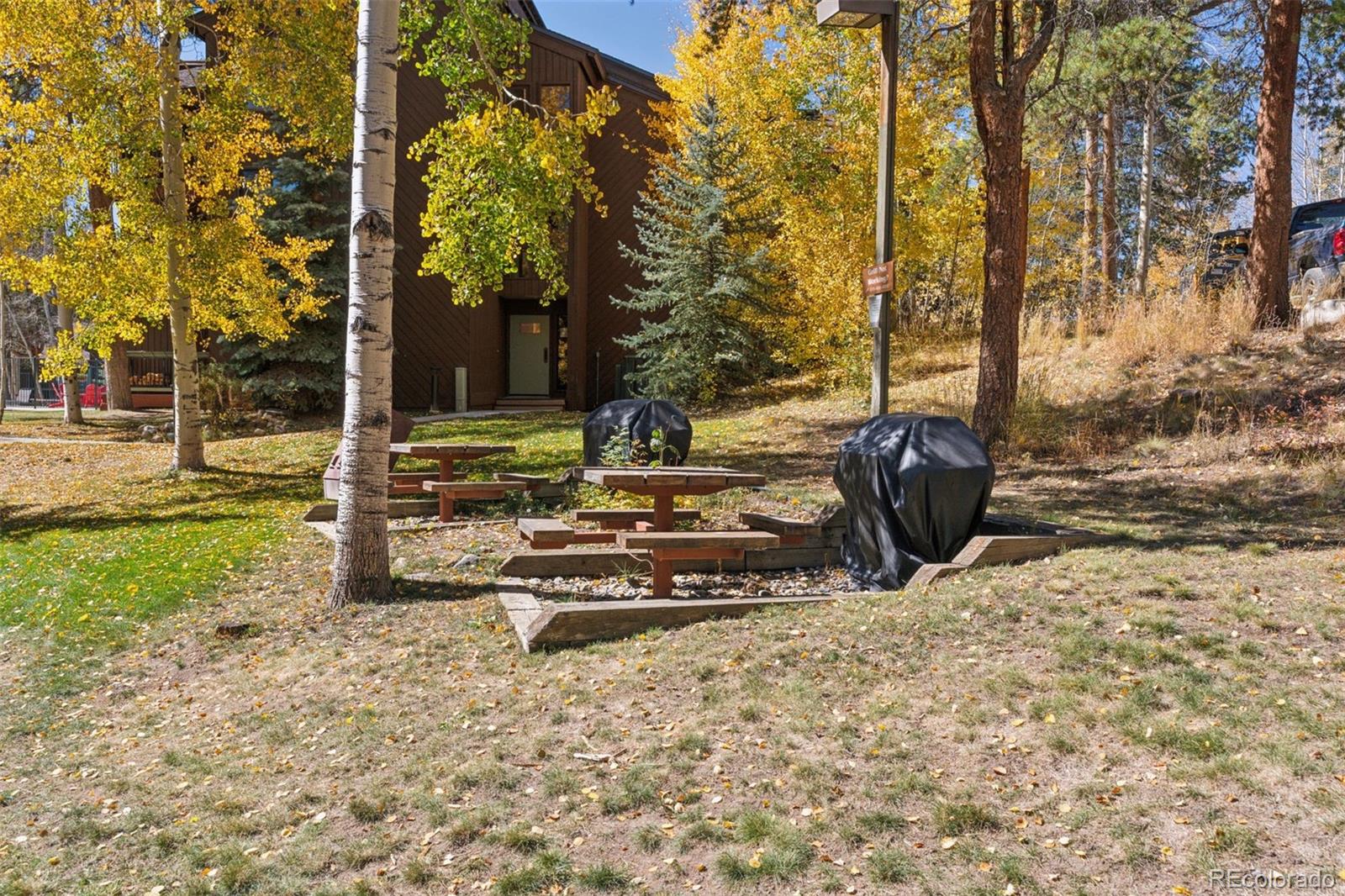 MLS Image #25 for 433  wild irishman road,dillon, Colorado