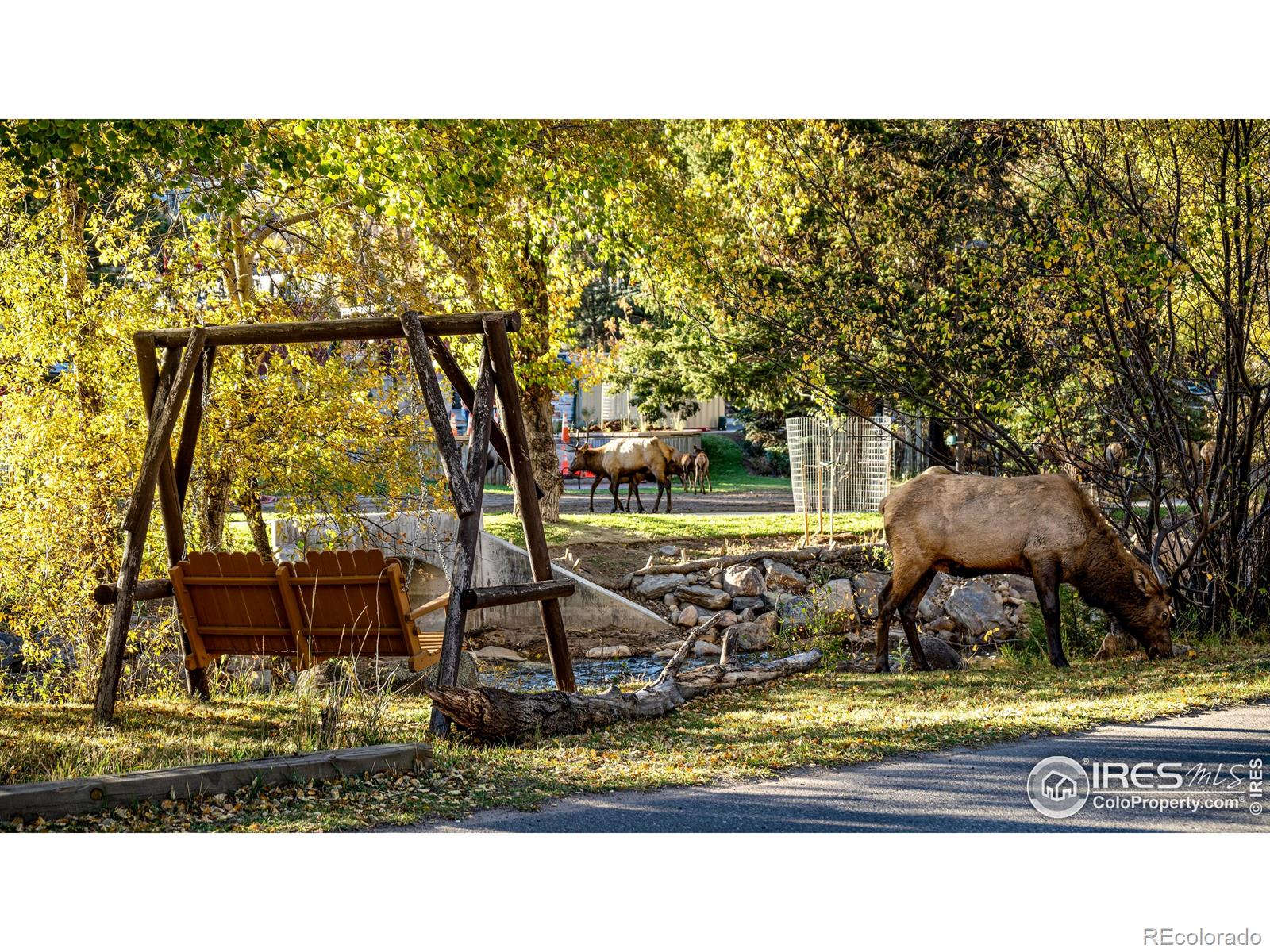 MLS Image #31 for 253 e riverside drive,estes park, Colorado