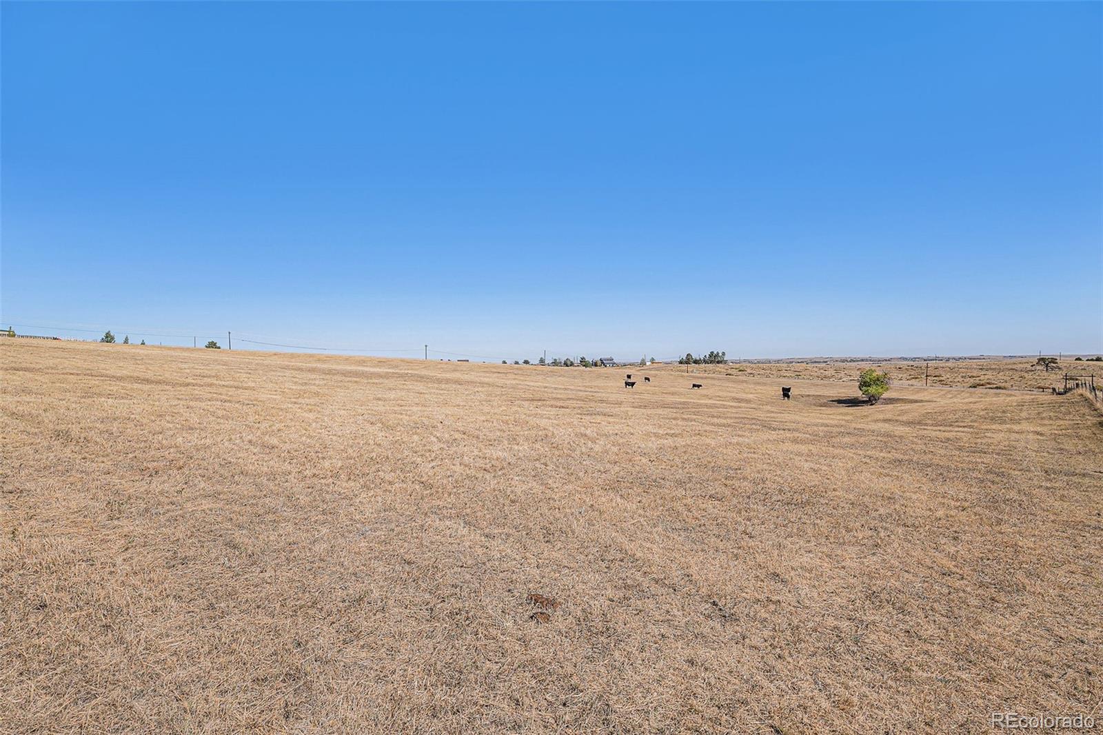 MLS Image #41 for 11796 e parker road,parker, Colorado