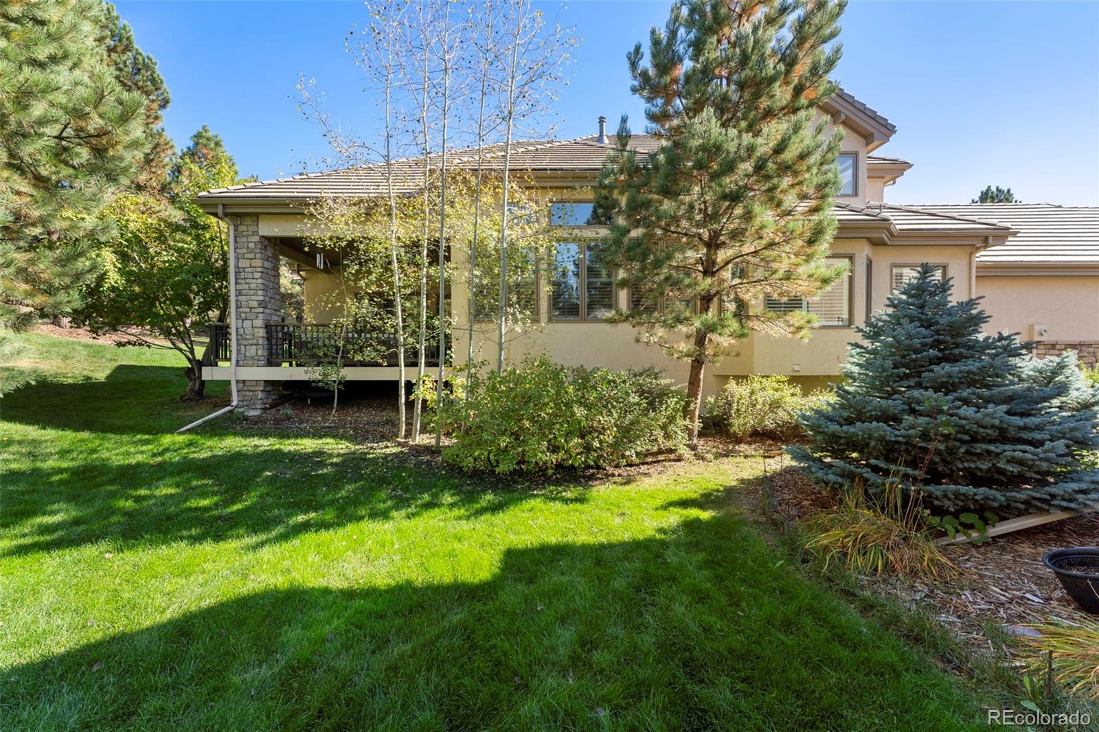 MLS Image #13 for 3104  ramshorn drive,castle rock, Colorado