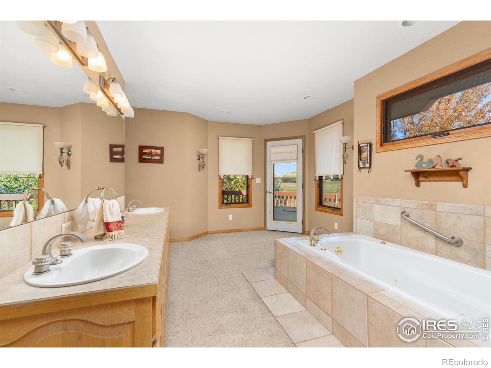 MLS Image #19 for 3220  spring mountain court,loveland, Colorado