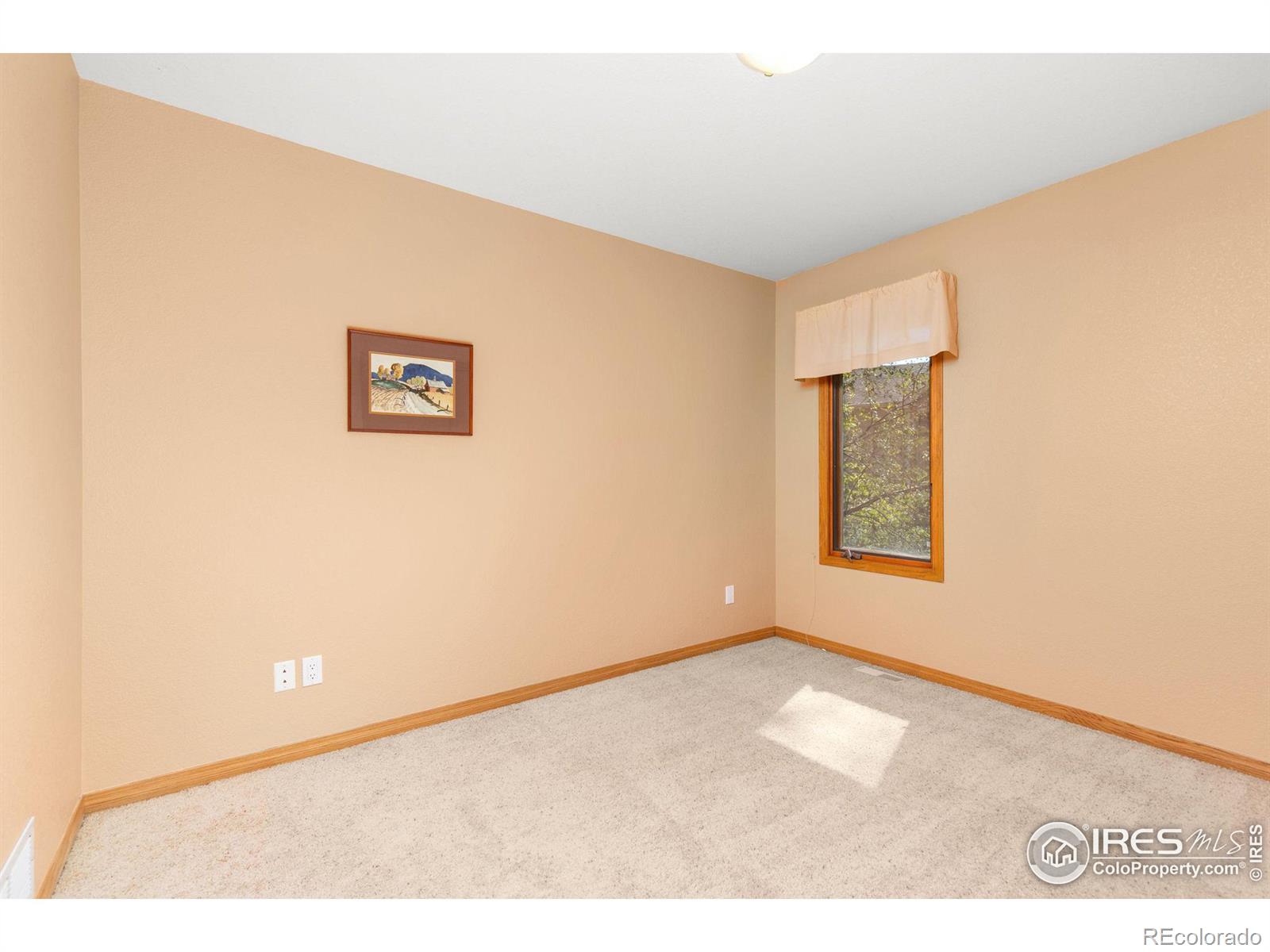 MLS Image #21 for 3220  spring mountain court,loveland, Colorado