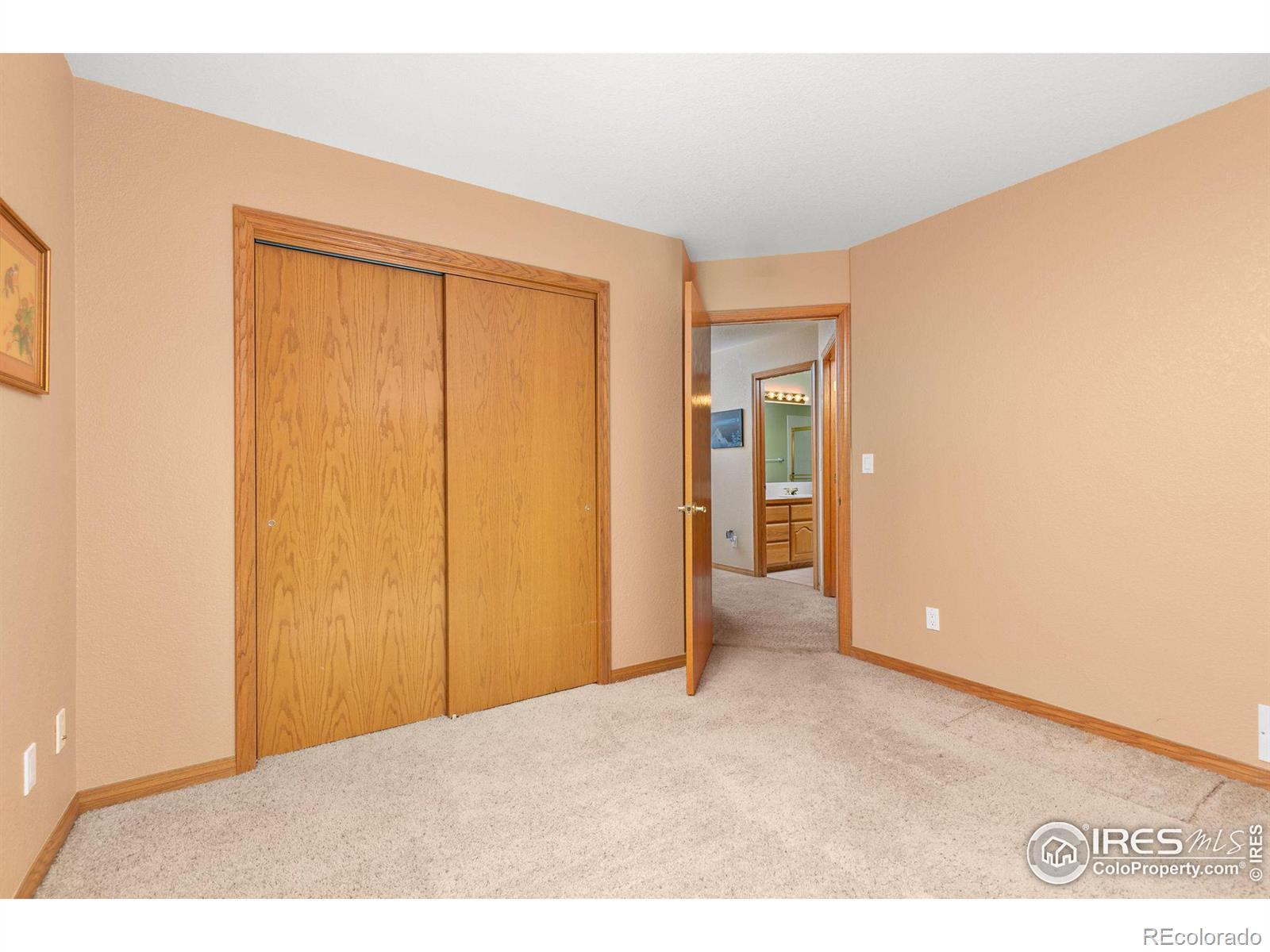 MLS Image #22 for 3220  spring mountain court,loveland, Colorado