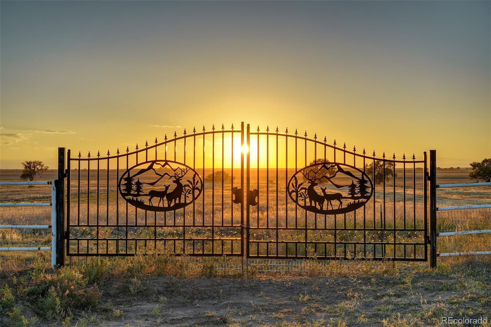 MLS Image #36 for 12451  pass me by road,strasburg, Colorado