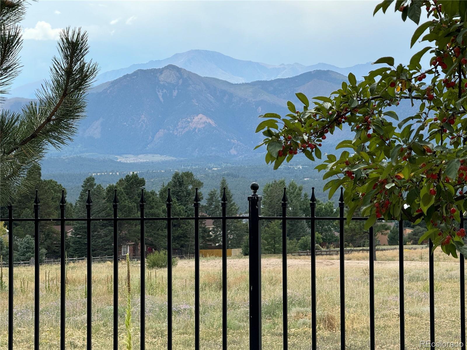 MLS Image #46 for 14330  eagle villa grove,colorado springs, Colorado