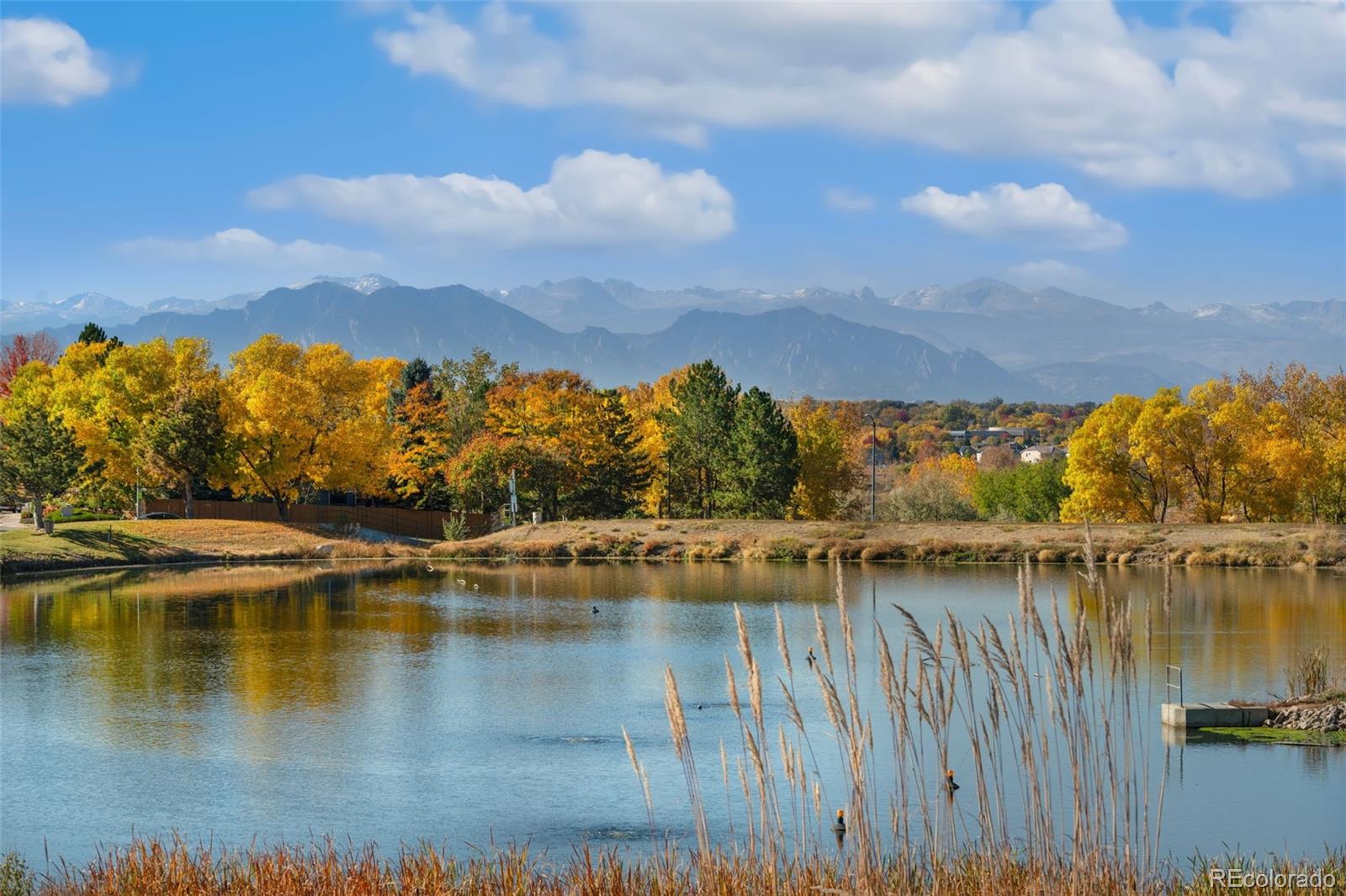 MLS Image #29 for 3337 w 113th avenue,westminster, Colorado