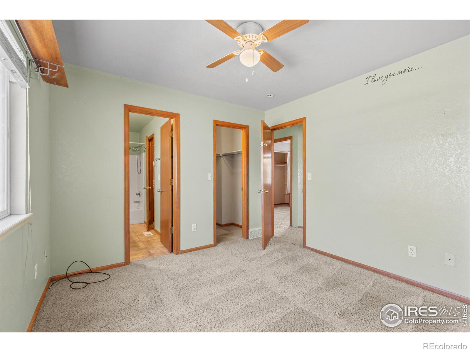 MLS Image #12 for 281 e mountain ash street,milliken, Colorado