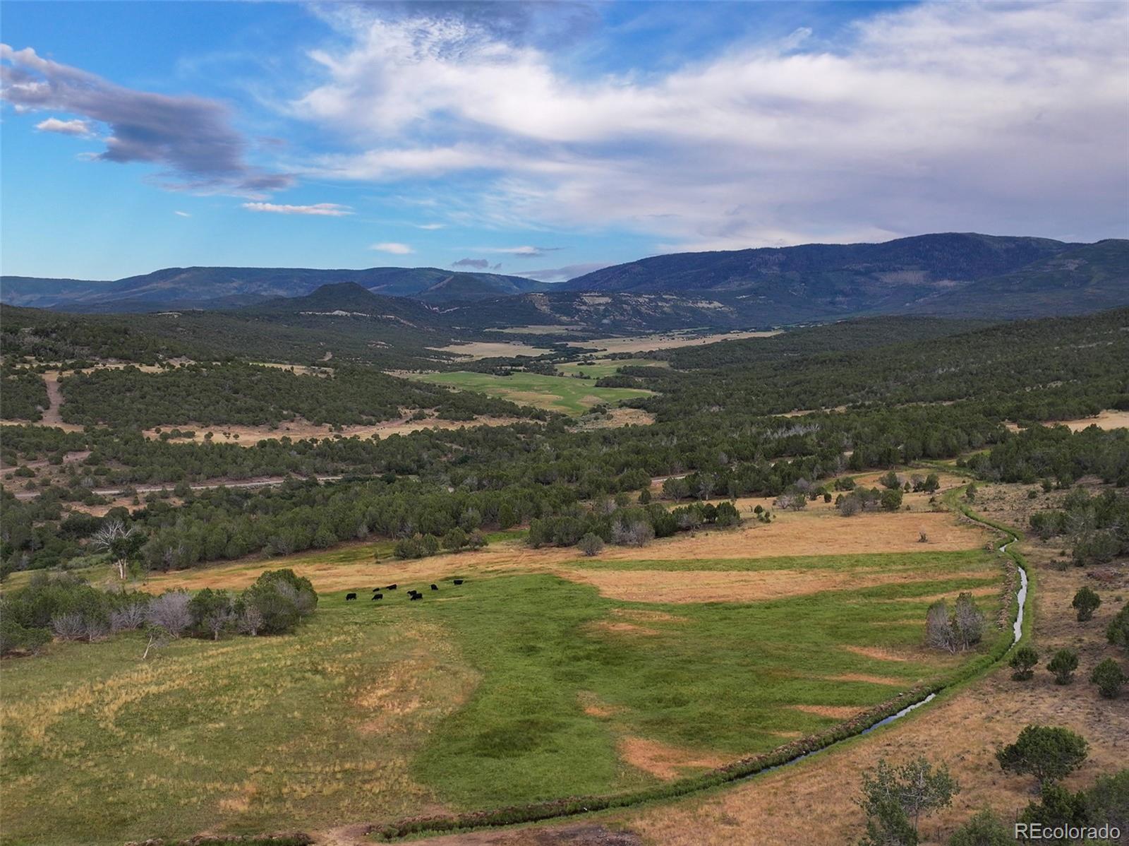 MLS Image #10 for 56106  me drive,collbran, Colorado