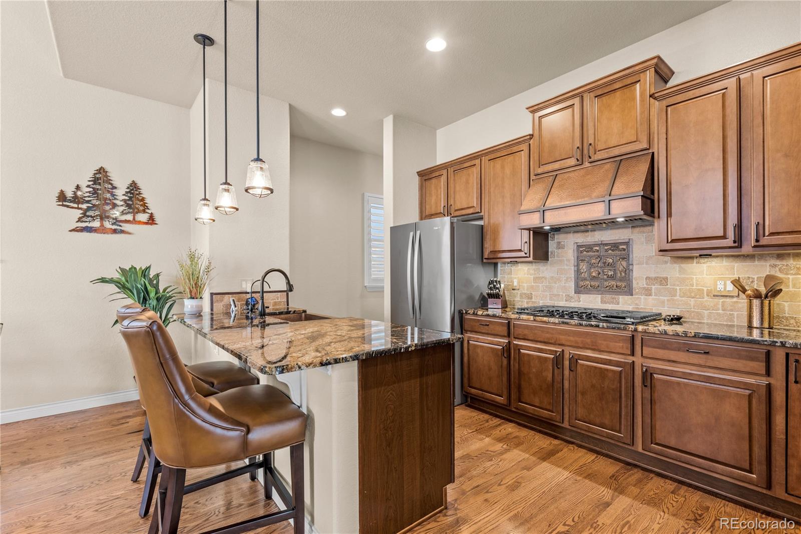 MLS Image #13 for 4473  echo drive,larkspur, Colorado