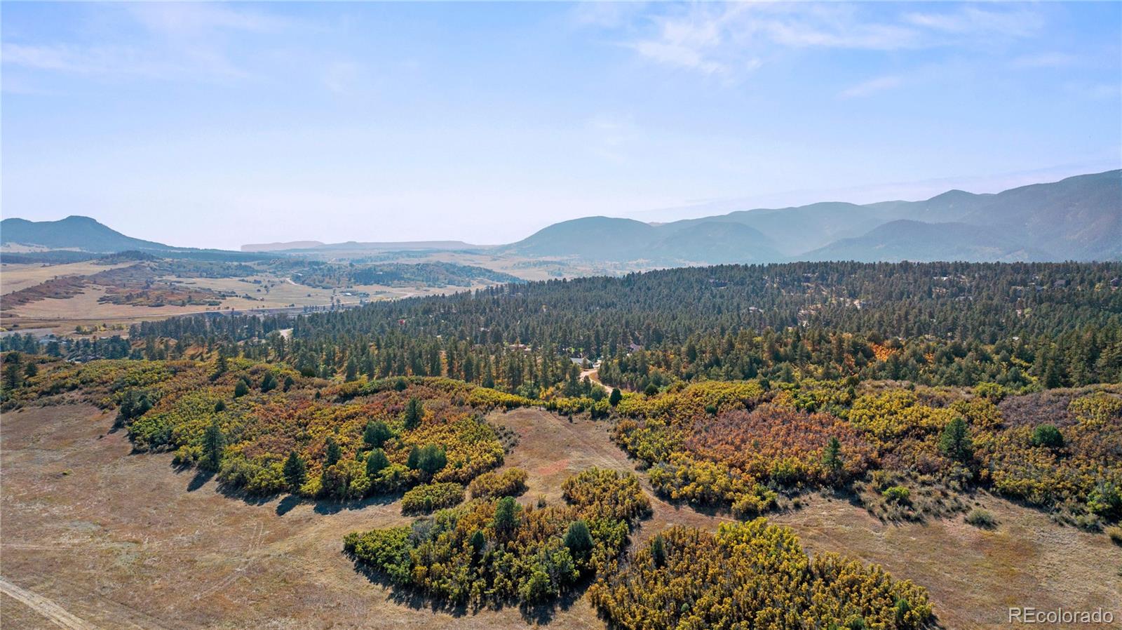 MLS Image #47 for 4473  echo drive,larkspur, Colorado