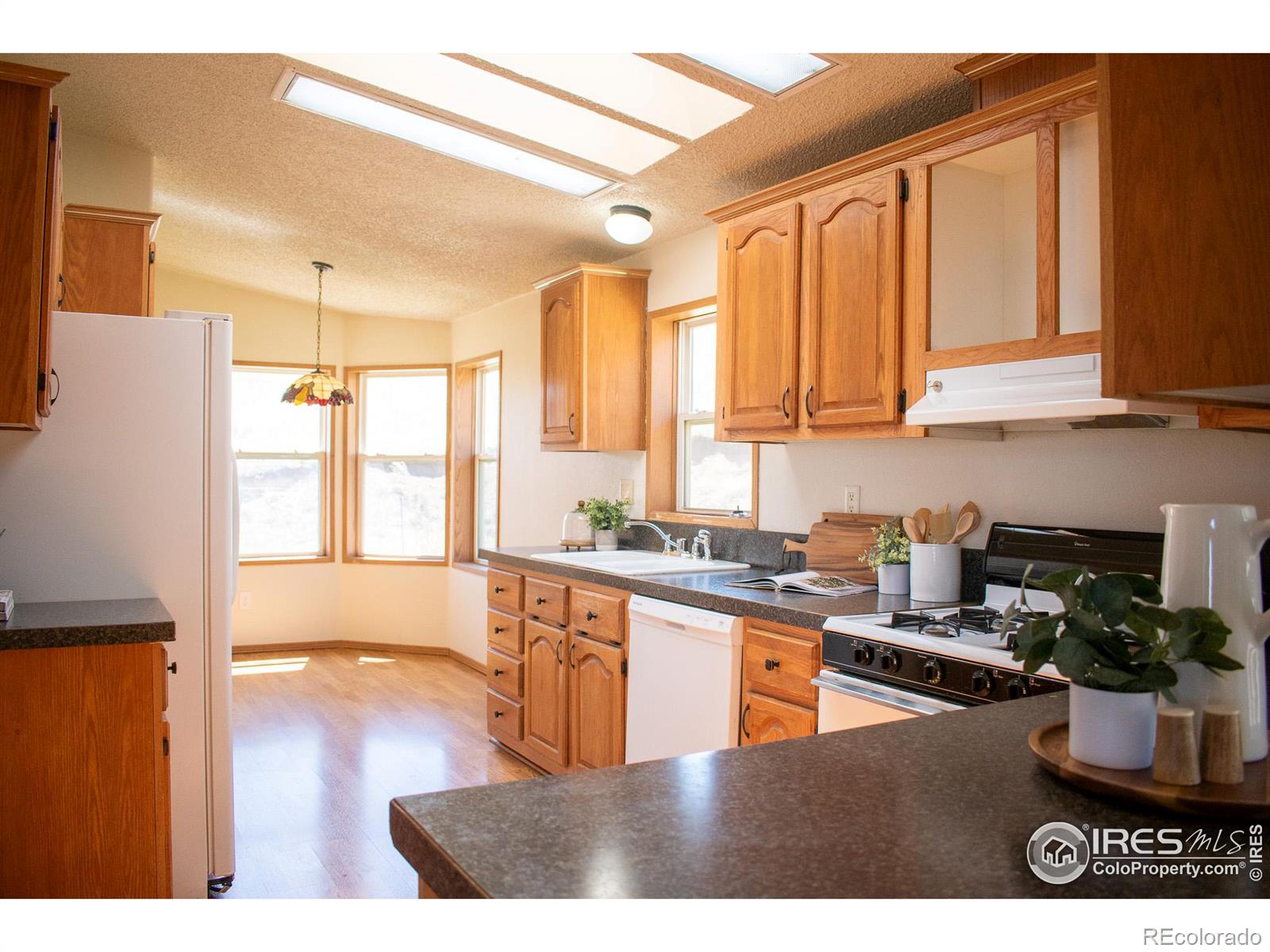 MLS Image #10 for 4601  totonka trail,laporte, Colorado