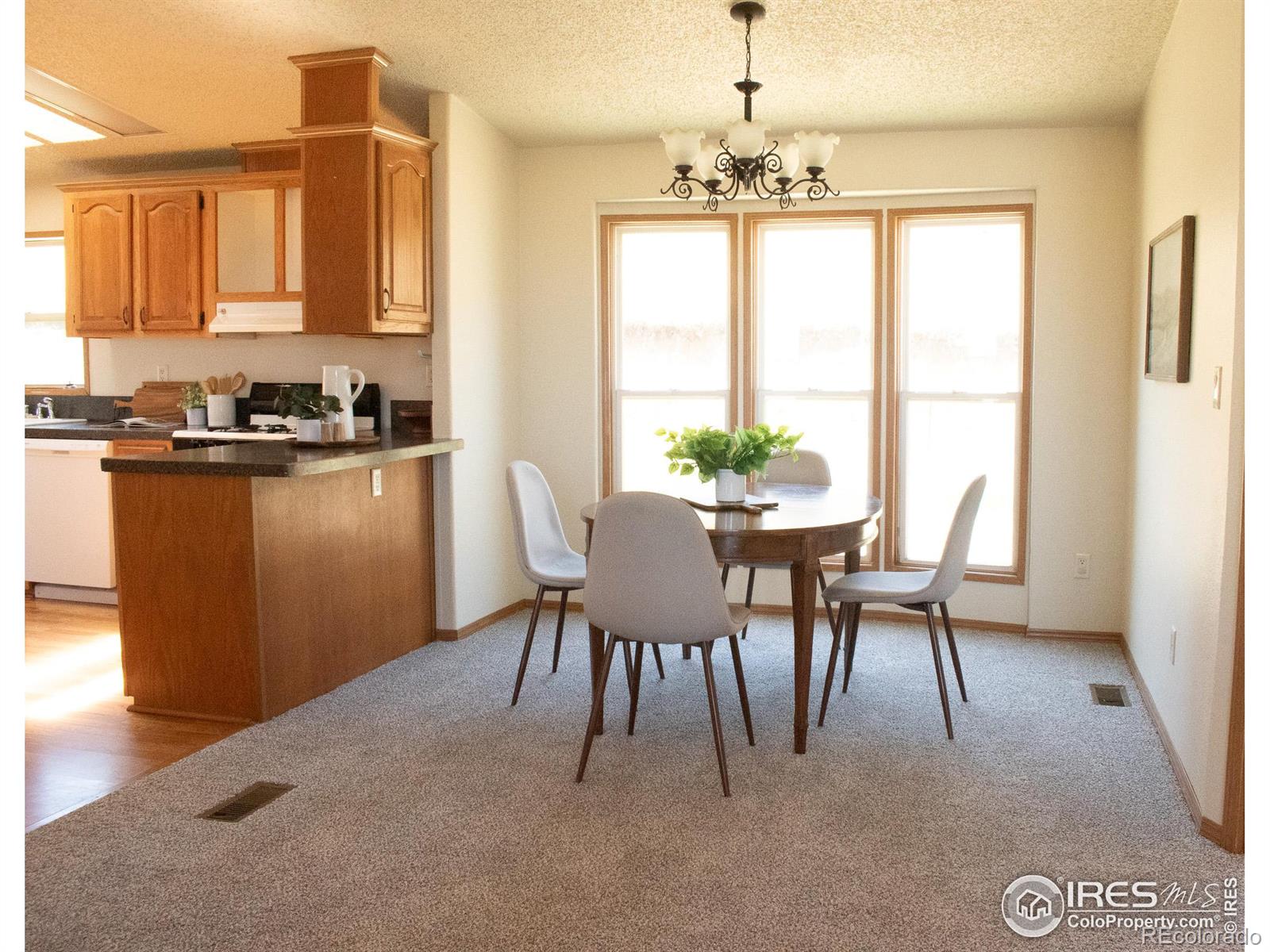 MLS Image #11 for 4601  totonka trail,laporte, Colorado