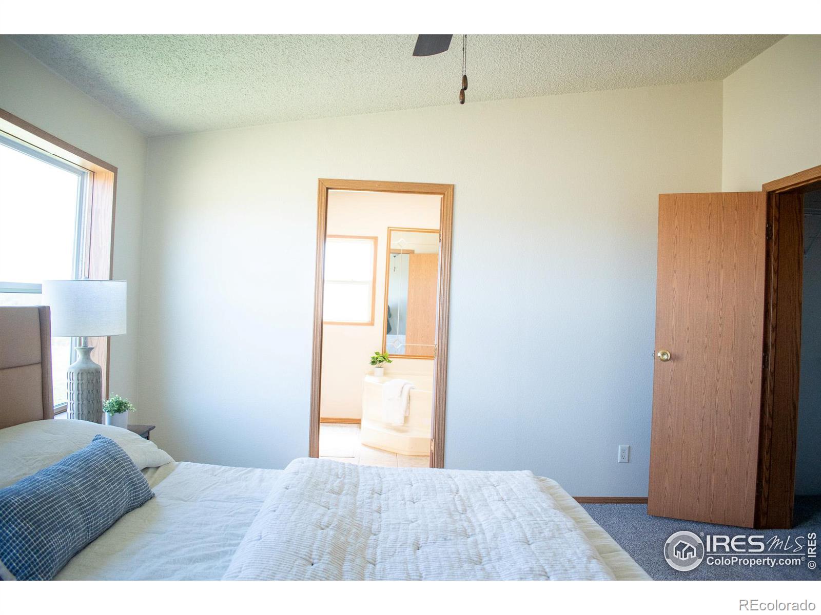 MLS Image #14 for 4601  totonka trail,laporte, Colorado