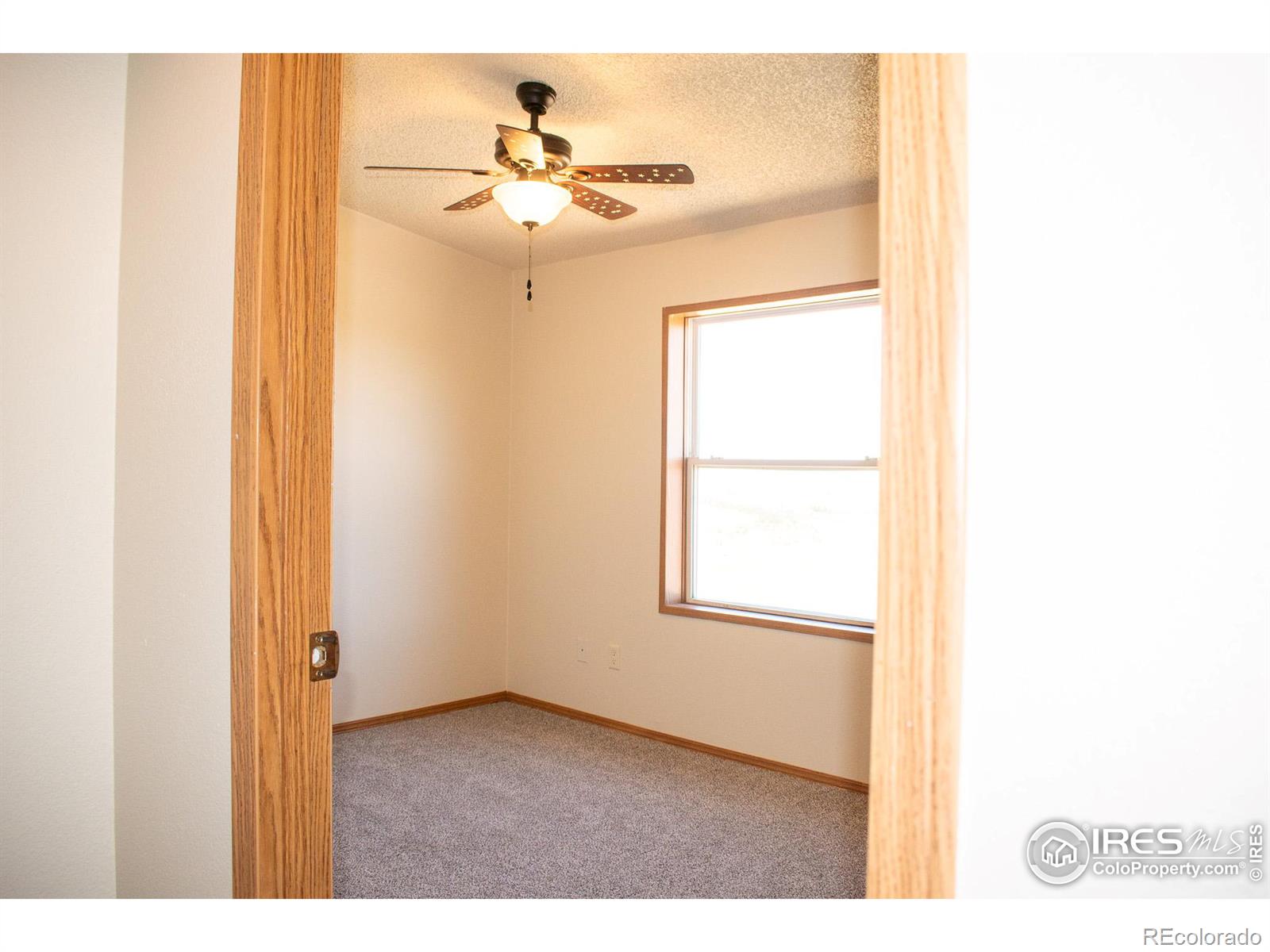 MLS Image #18 for 4601  totonka trail,laporte, Colorado