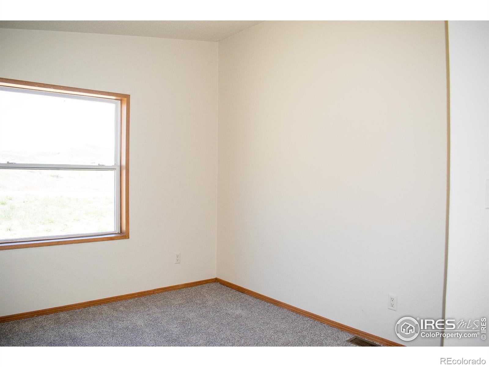 MLS Image #20 for 4601  totonka trail,laporte, Colorado