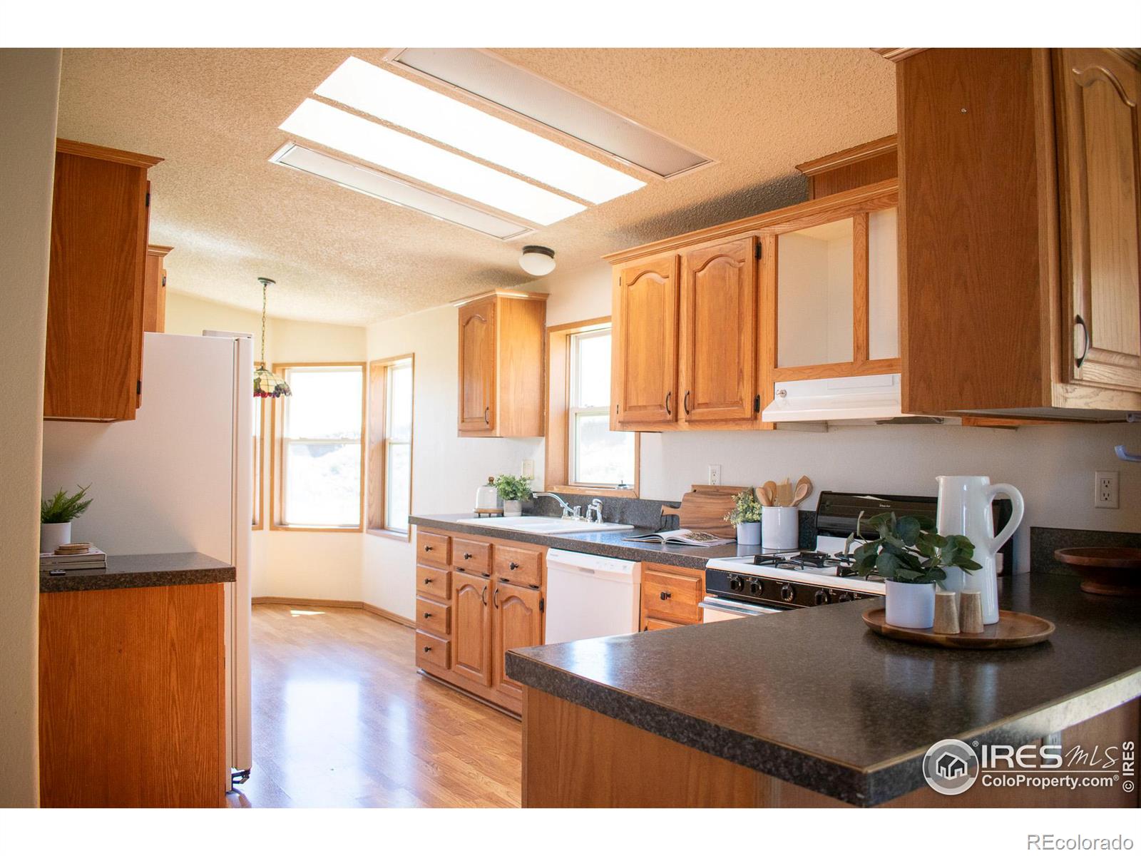 MLS Image #7 for 4601  totonka trail,laporte, Colorado