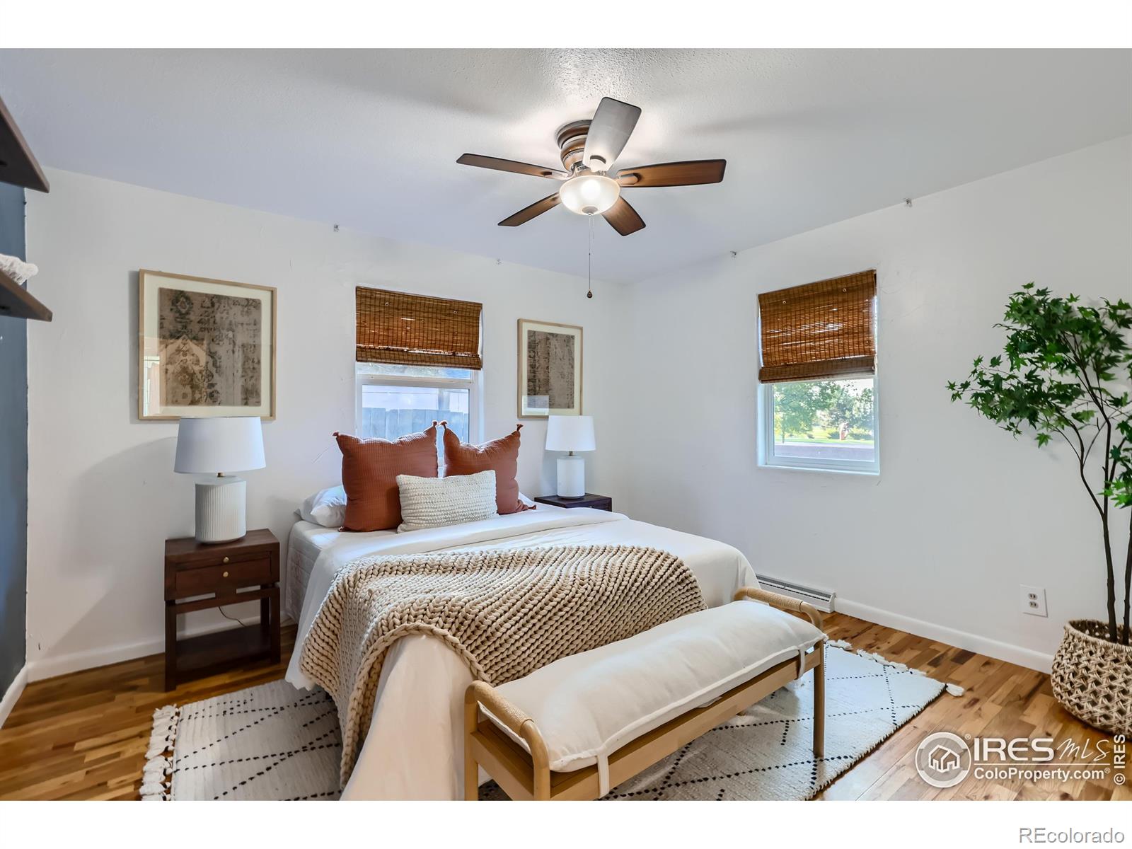 MLS Image #8 for 25  reed place,longmont, Colorado