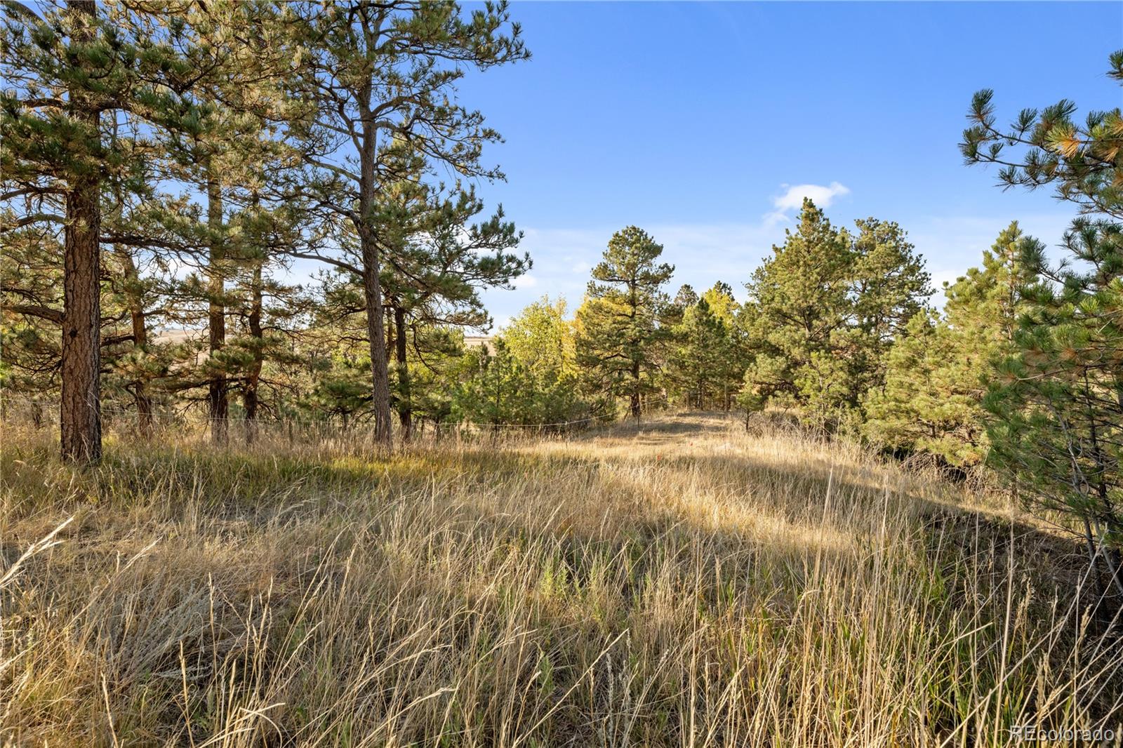 MLS Image #31 for 6345  arrowhead trail,elizabeth, Colorado