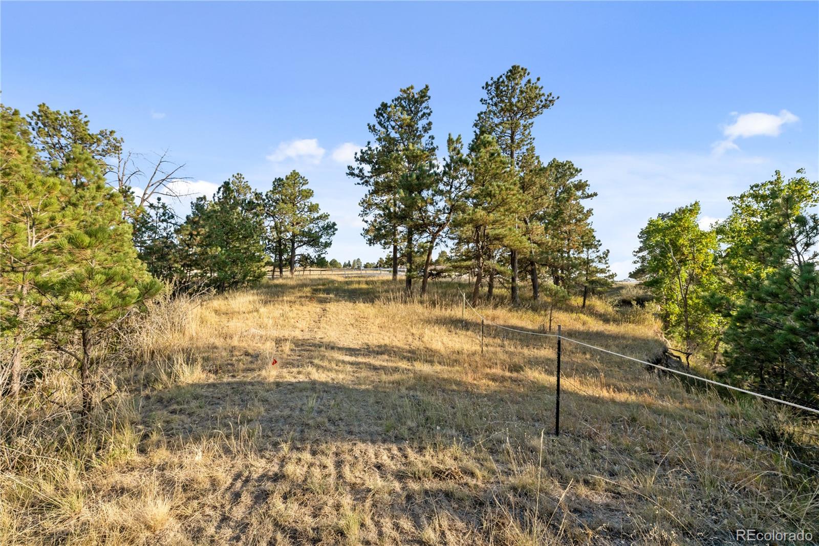 MLS Image #32 for 6345  arrowhead trail,elizabeth, Colorado