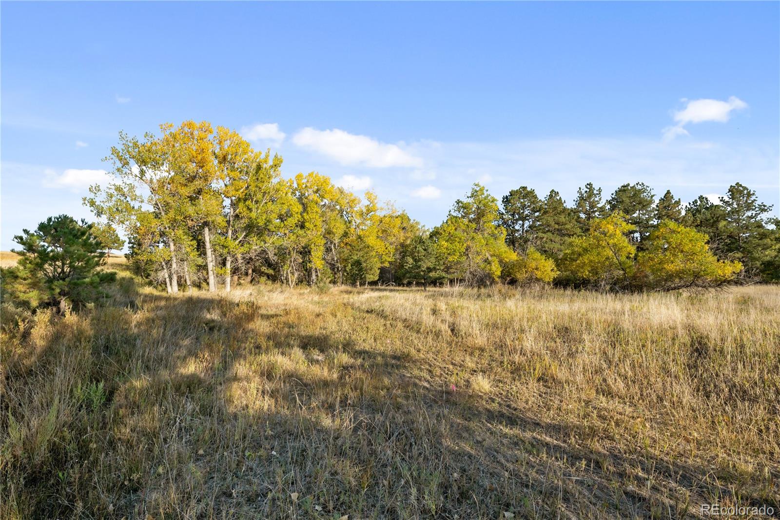 MLS Image #36 for 6345  arrowhead trail,elizabeth, Colorado