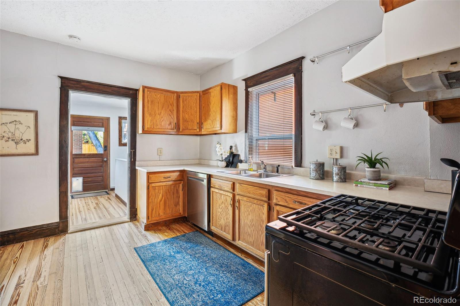 MLS Image #10 for 282 s pearl street,denver, Colorado