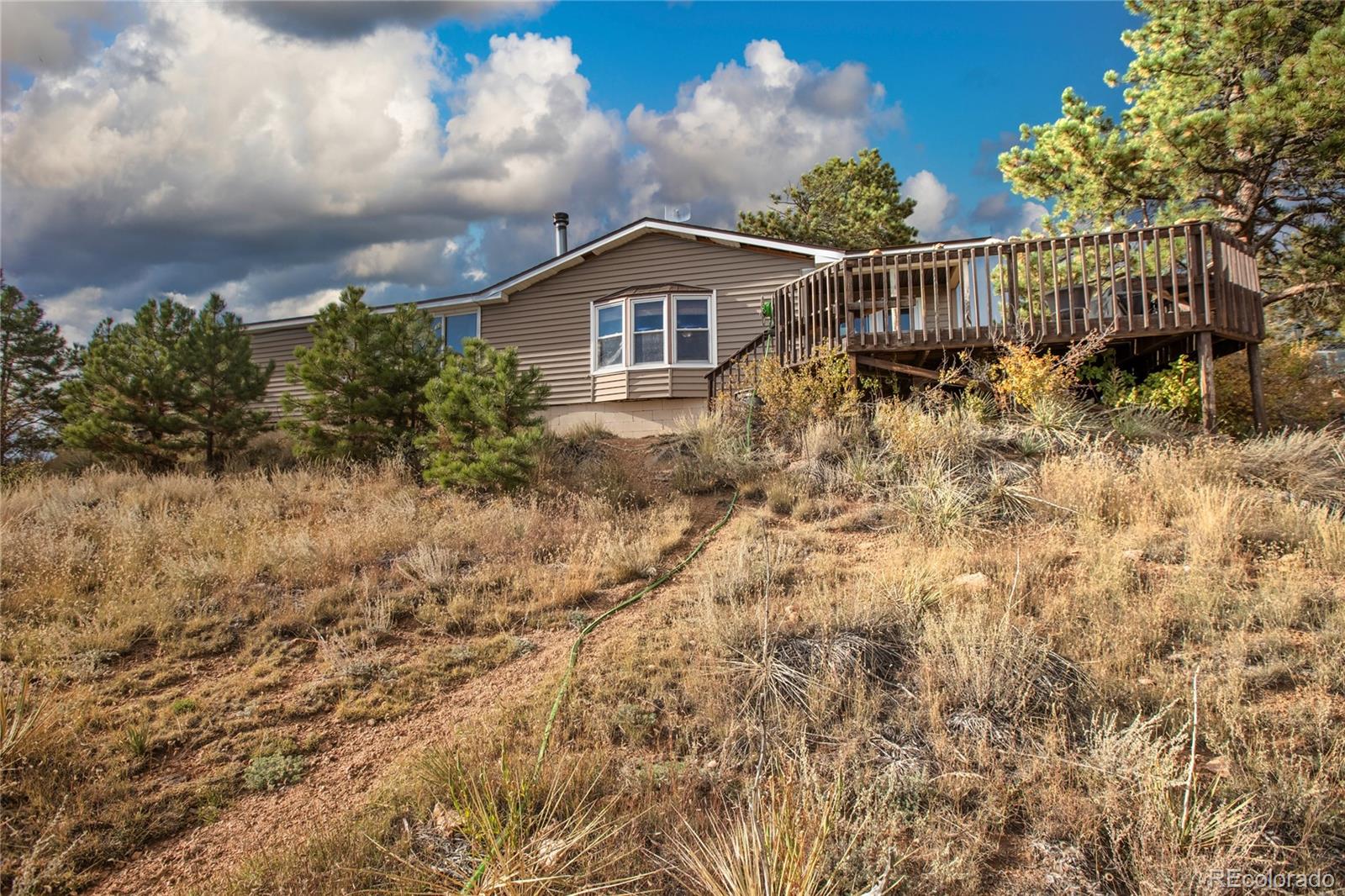 MLS Image #0 for 518  drees drive,florissant, Colorado