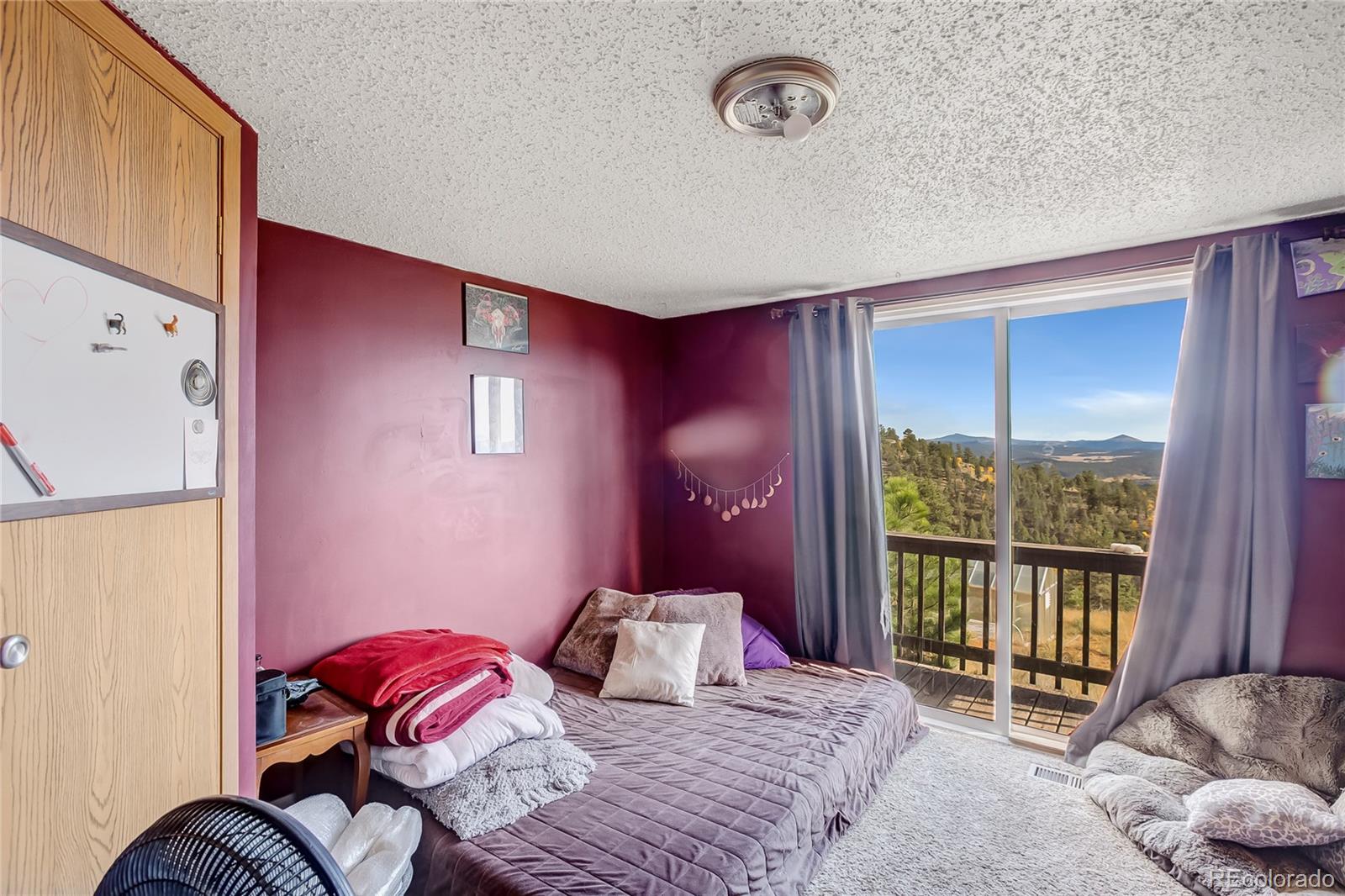 MLS Image #18 for 518  drees drive,florissant, Colorado