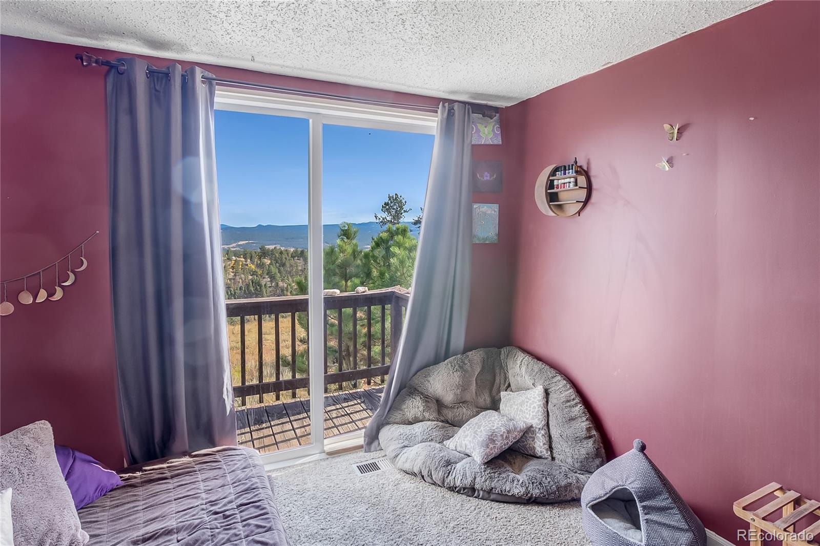 MLS Image #19 for 518  drees drive,florissant, Colorado