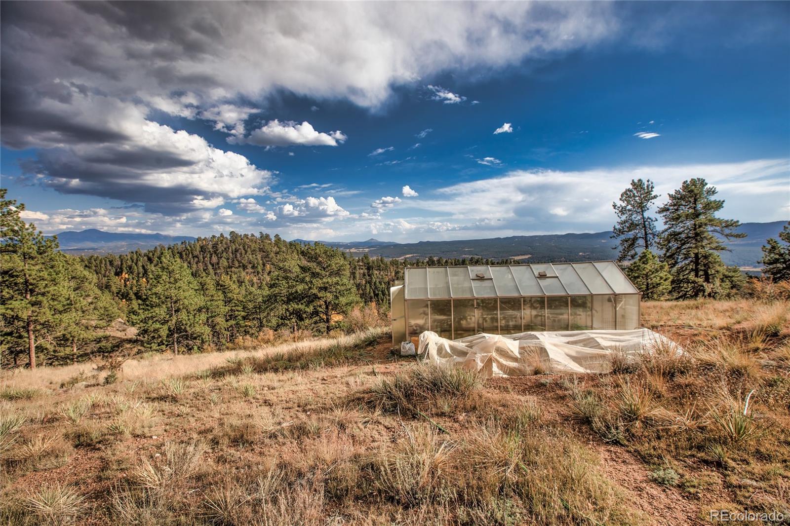 MLS Image #2 for 518  drees drive,florissant, Colorado