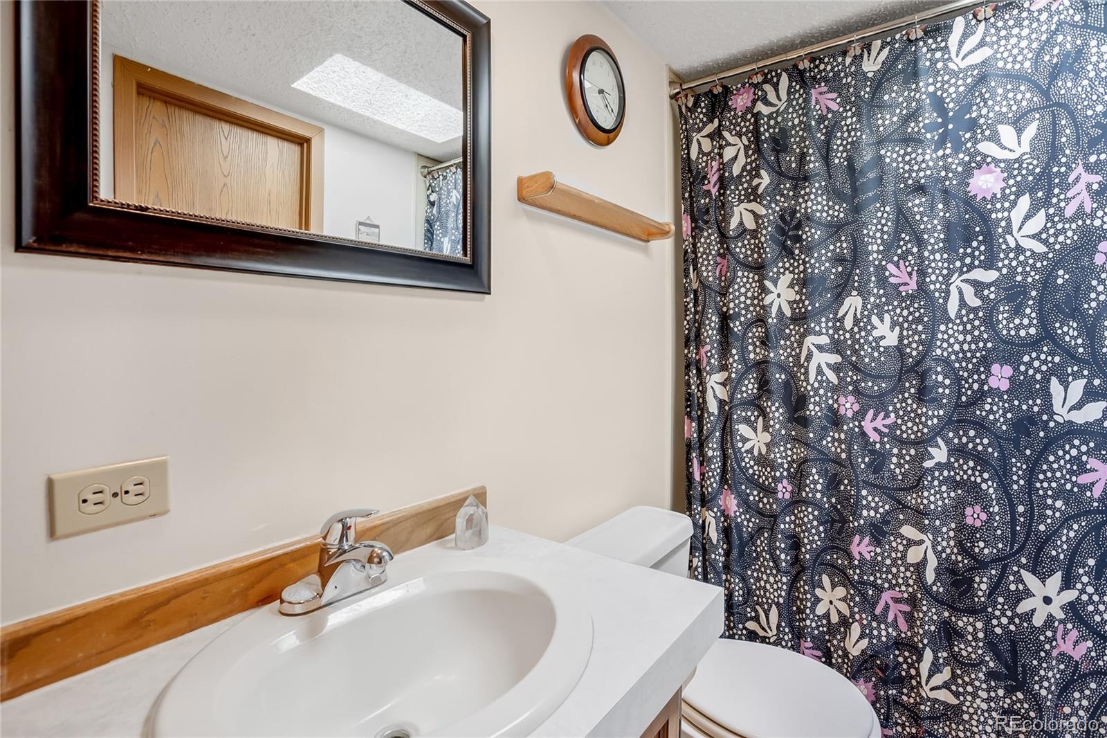 MLS Image #20 for 518  drees drive,florissant, Colorado