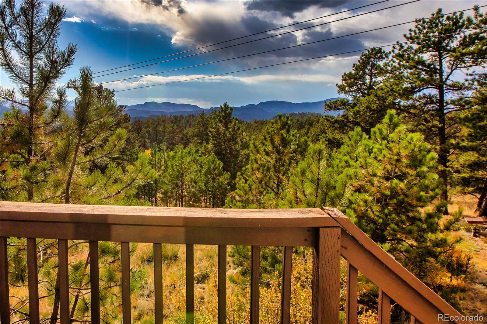 MLS Image #26 for 518  drees drive,florissant, Colorado