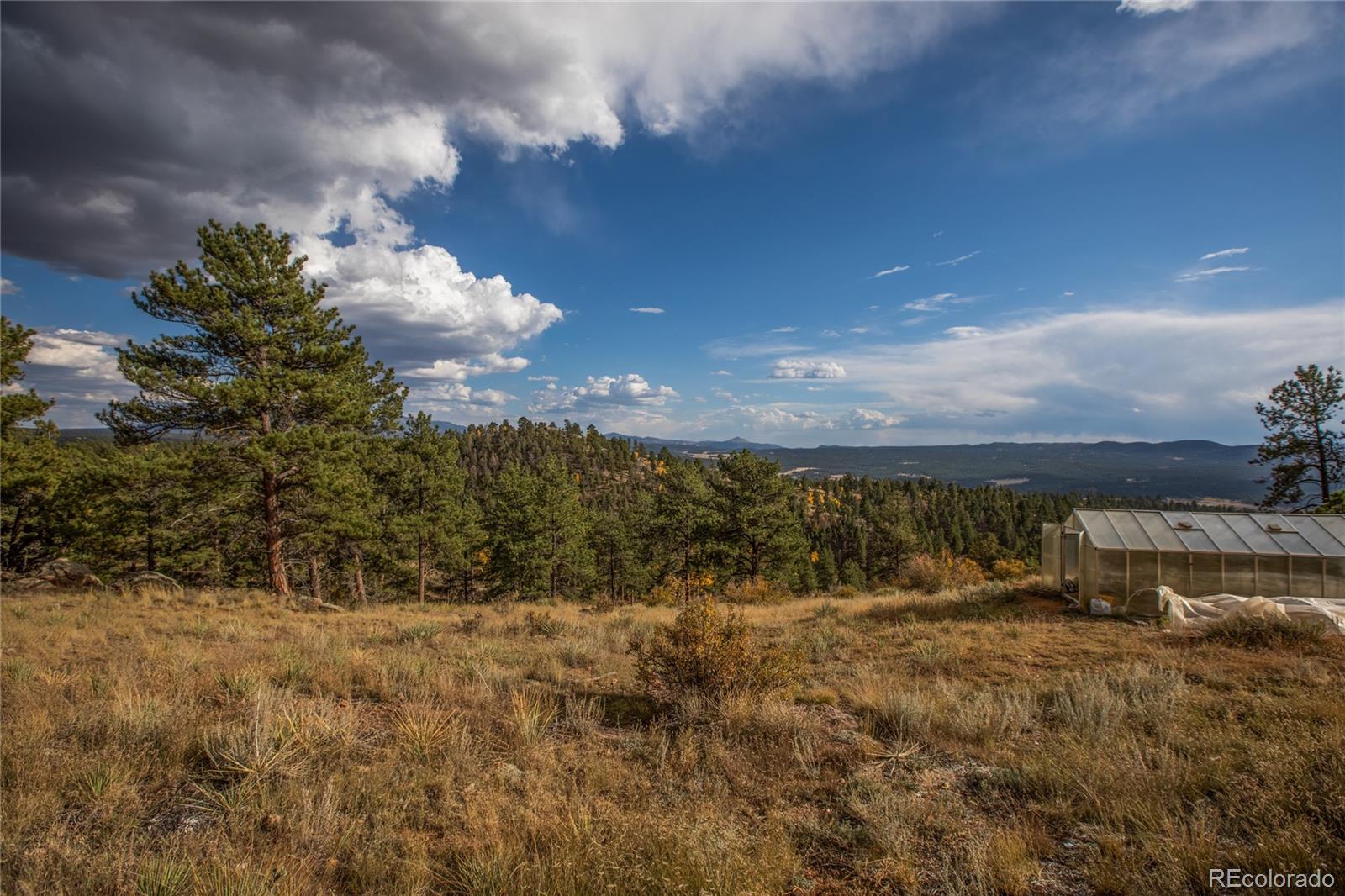 MLS Image #27 for 518  drees drive,florissant, Colorado