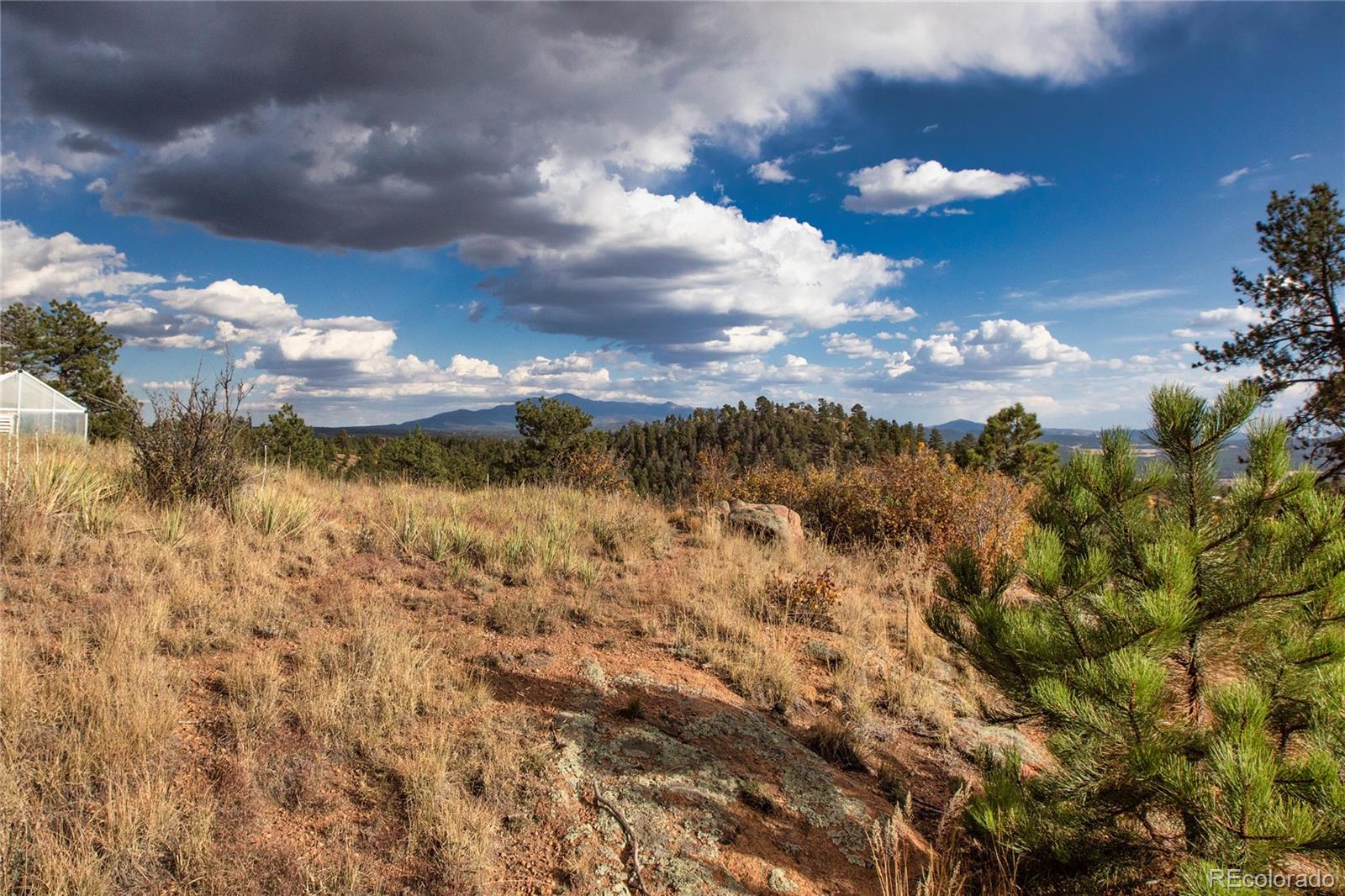 MLS Image #3 for 518  drees drive,florissant, Colorado