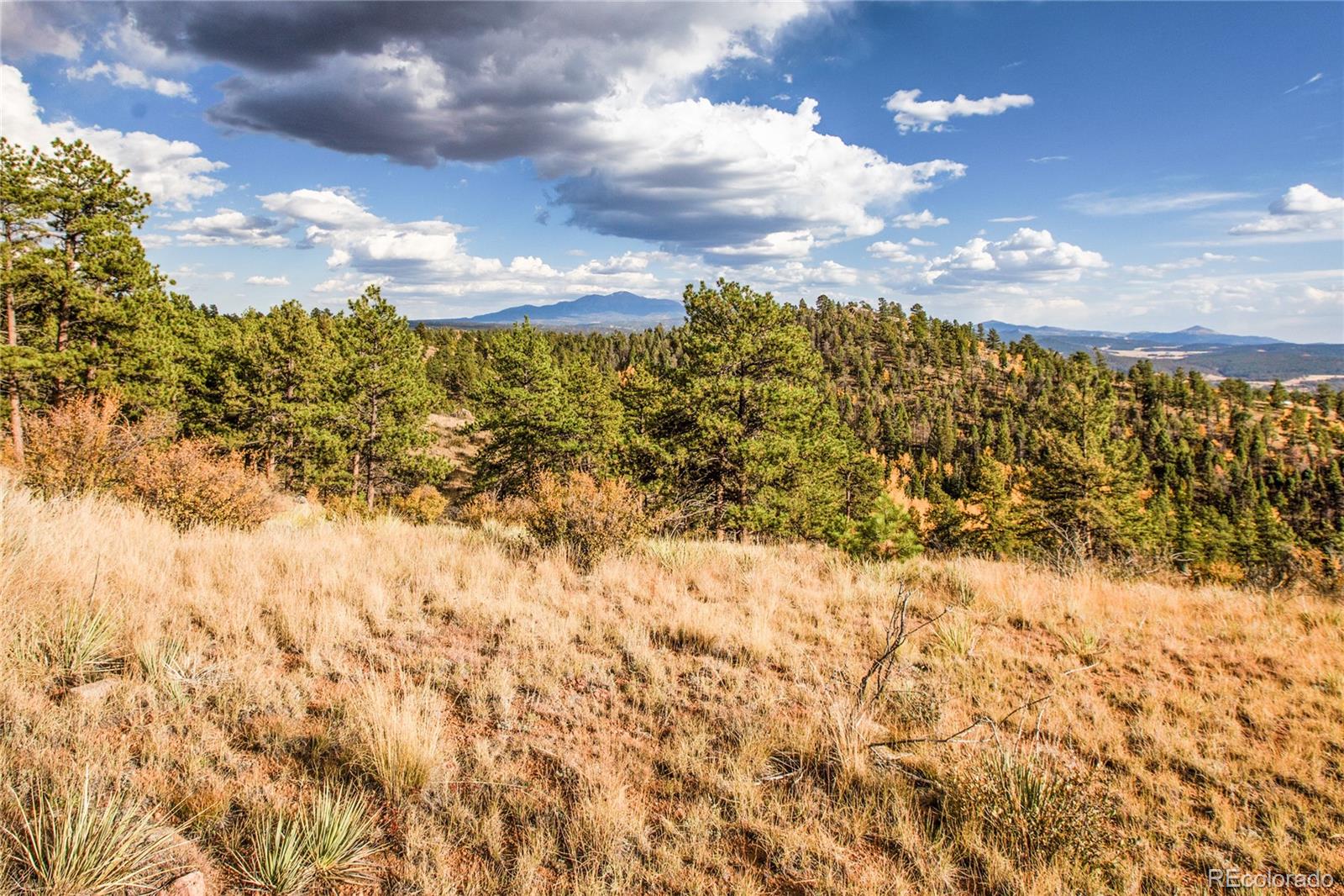 MLS Image #31 for 518  drees drive,florissant, Colorado