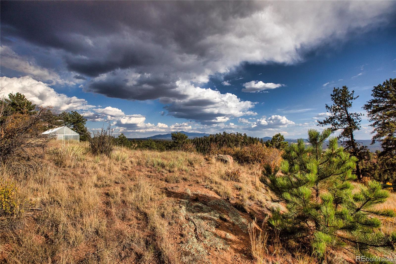 MLS Image #34 for 518  drees drive,florissant, Colorado