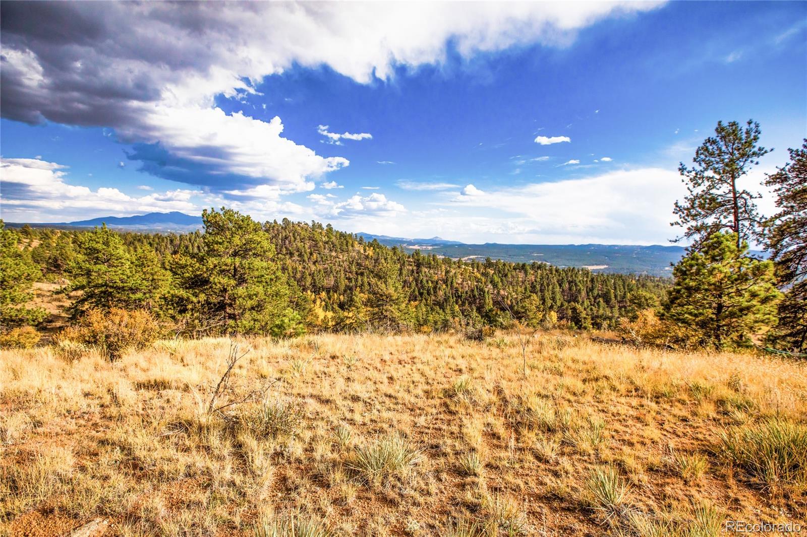 MLS Image #8 for 518  drees drive,florissant, Colorado