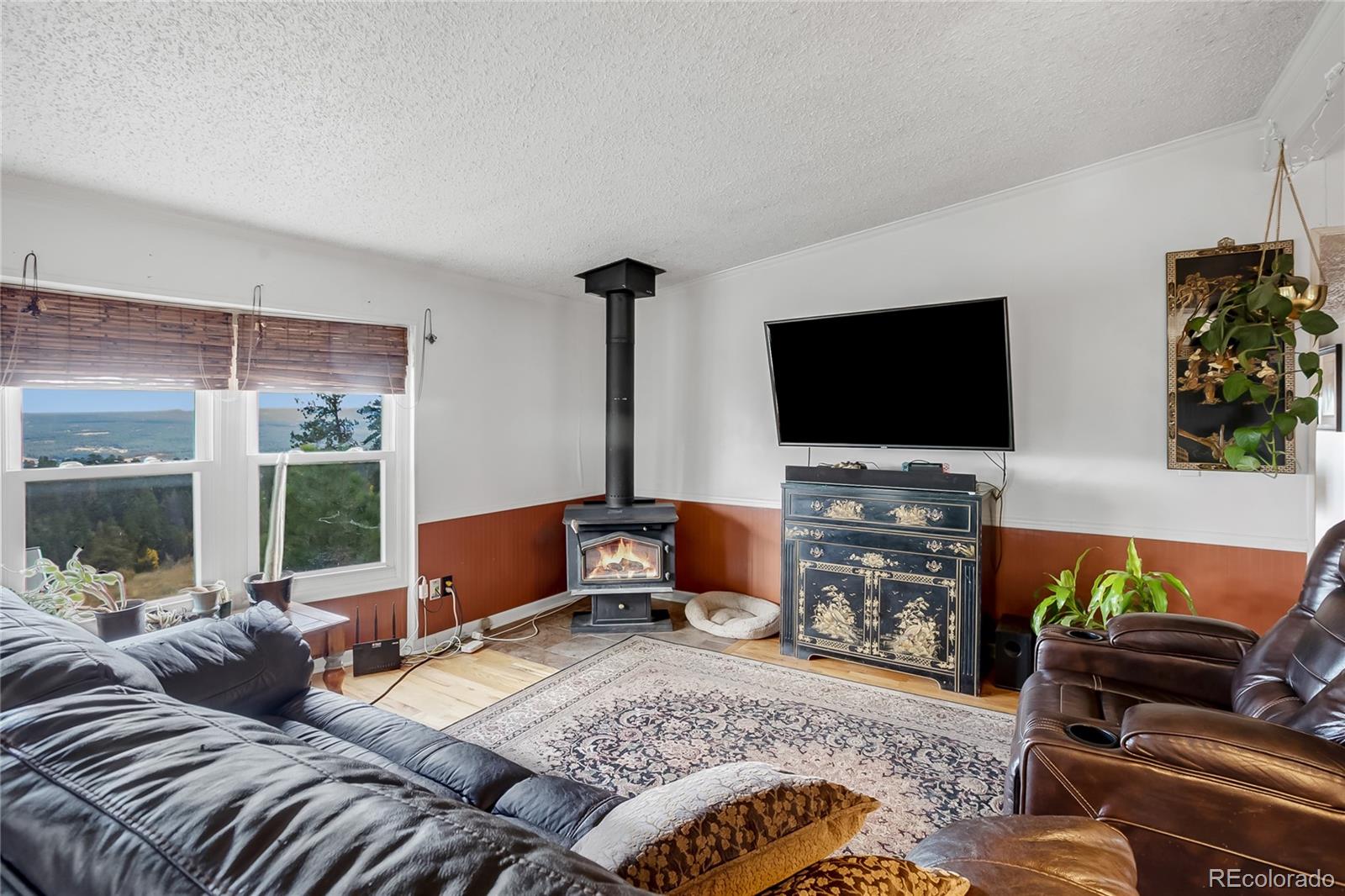 MLS Image #9 for 518  drees drive,florissant, Colorado