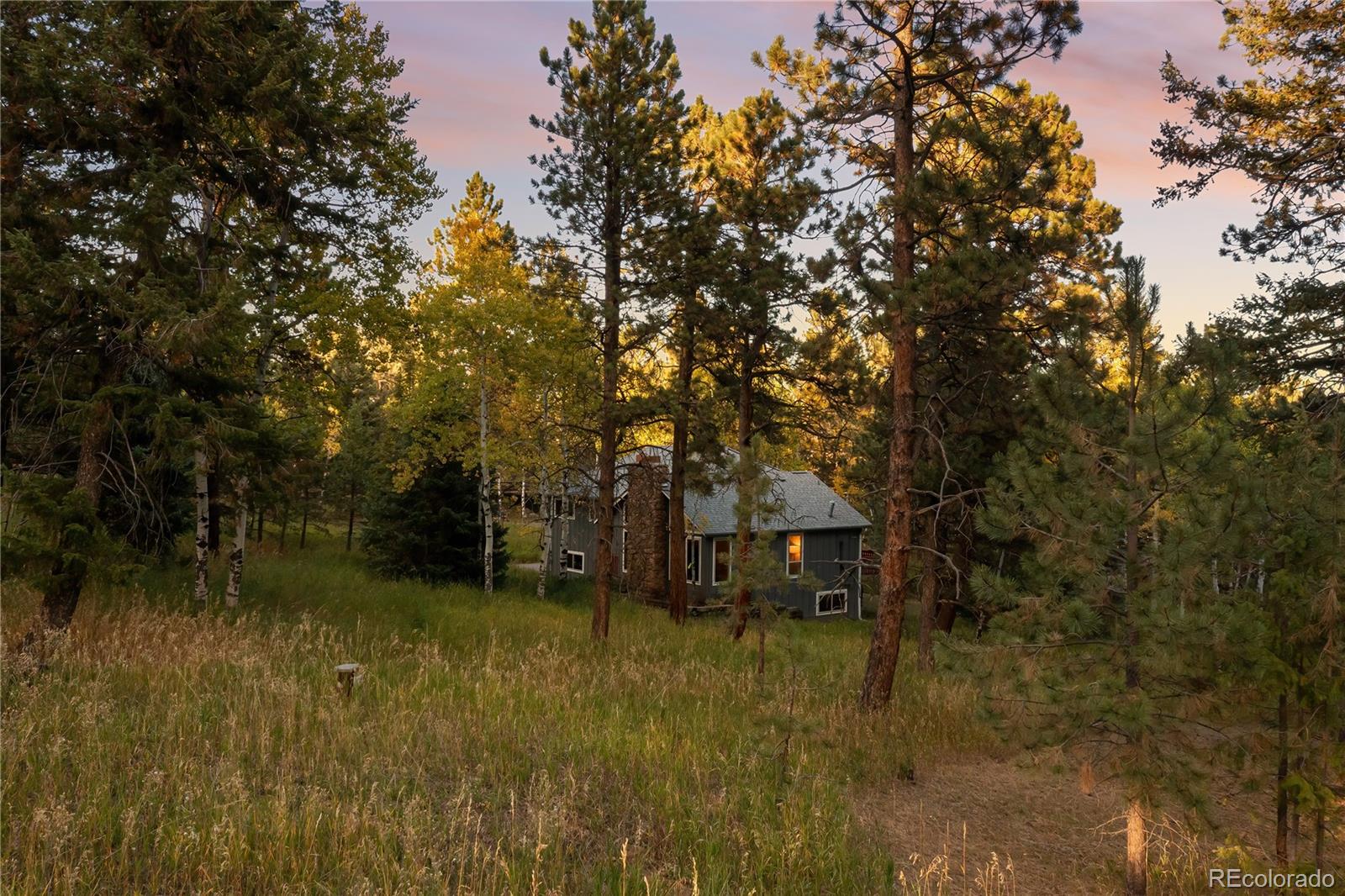 MLS Image #41 for 28696  little big horn drive,evergreen, Colorado