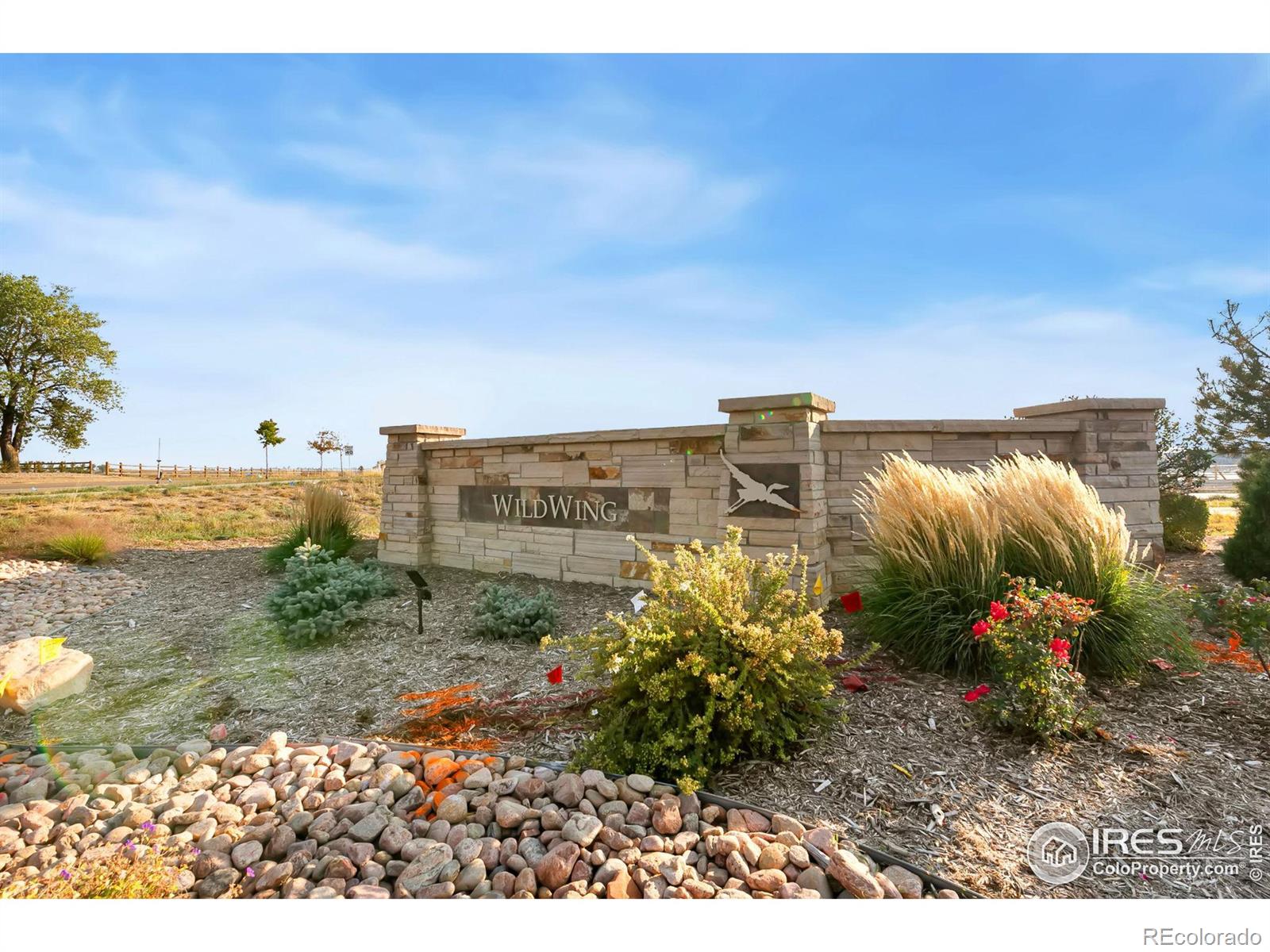 MLS Image #35 for 6939  white snow court,timnath, Colorado