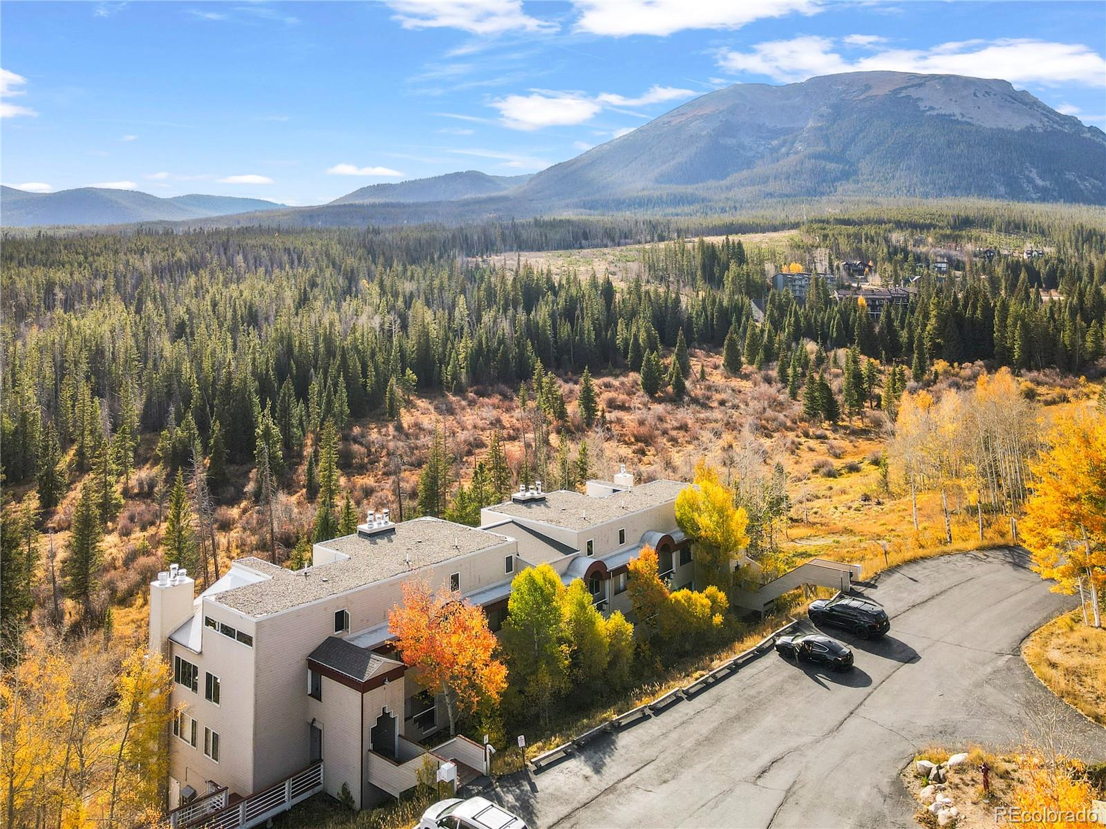 MLS Image #0 for 95200  ryan gulch road,silverthorne, Colorado